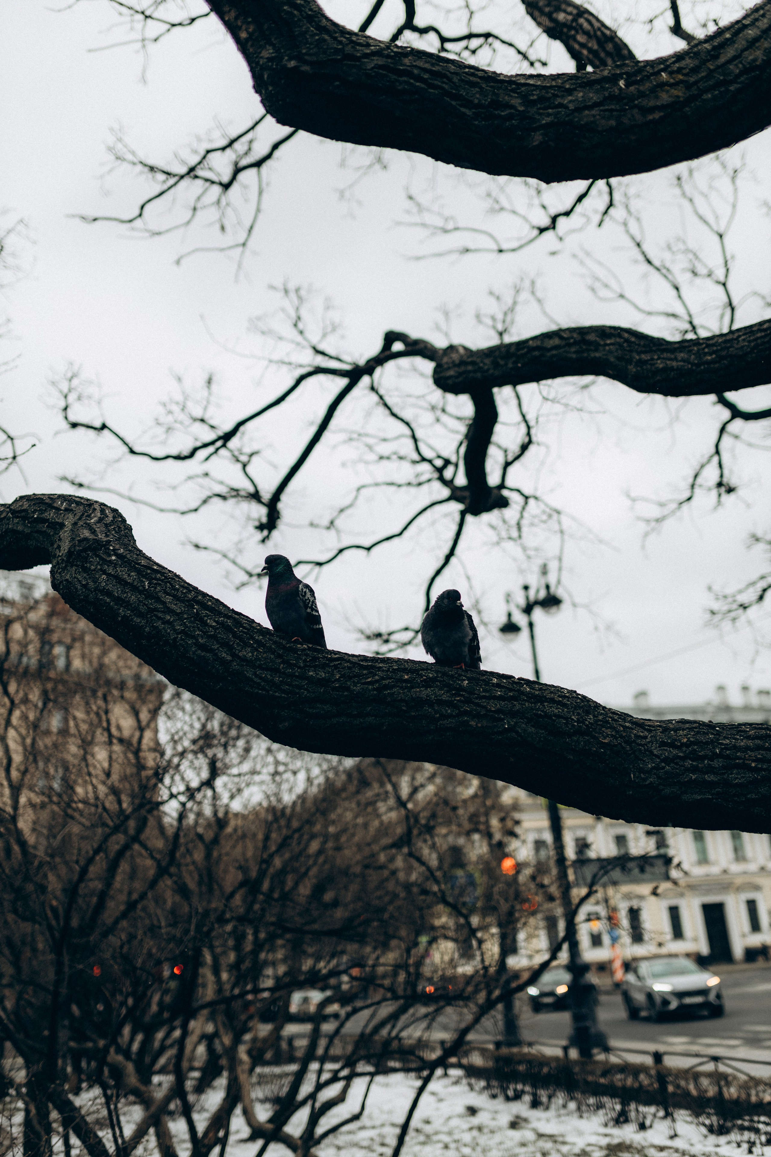 Надя. Фотограф НОГИНСК, Москва, Анастасия Белая