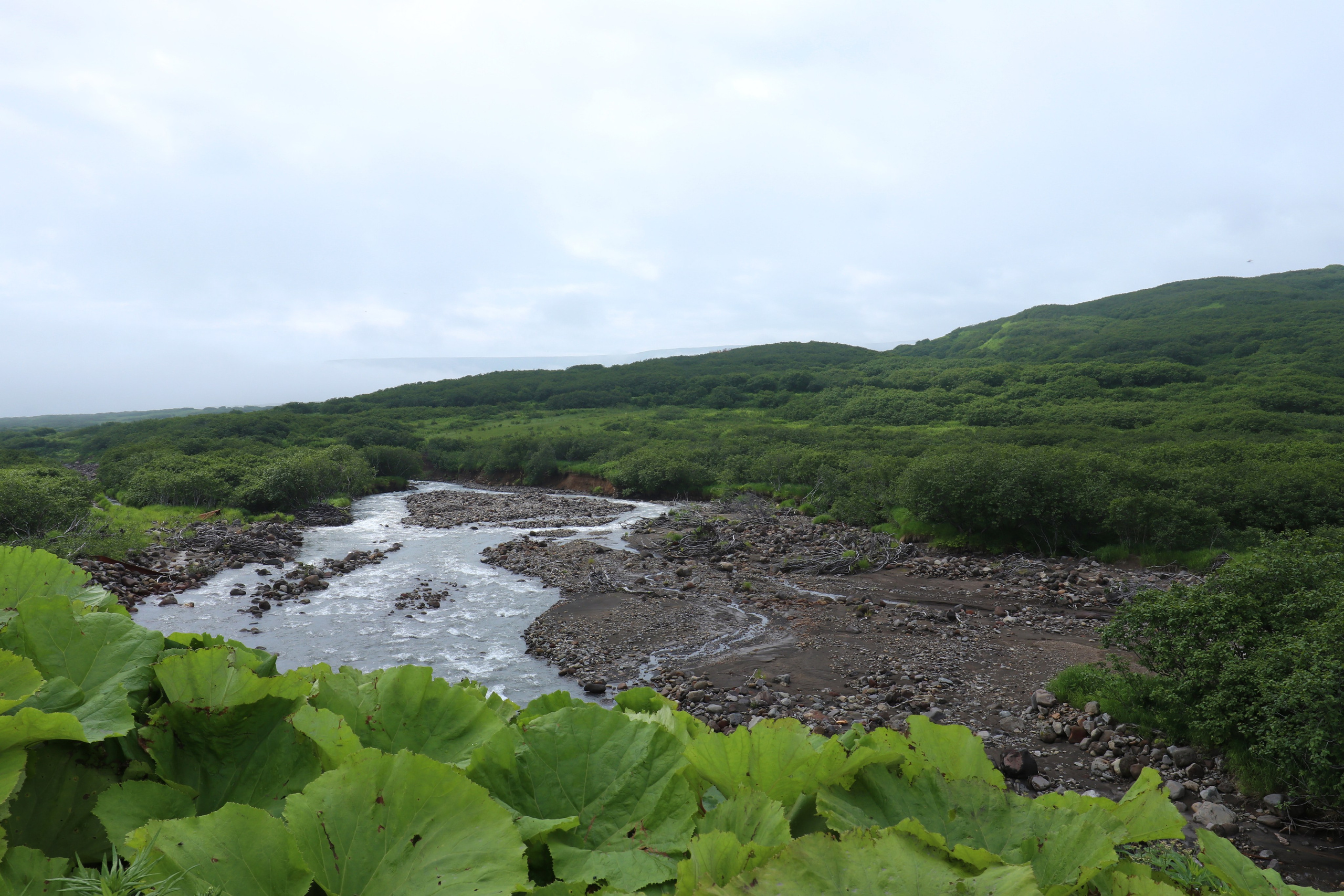 Камчатка и о. Парамушир. Июль 2024. Путешественник-фотограф из Санкт-Петербурга Татьяна Свистулина