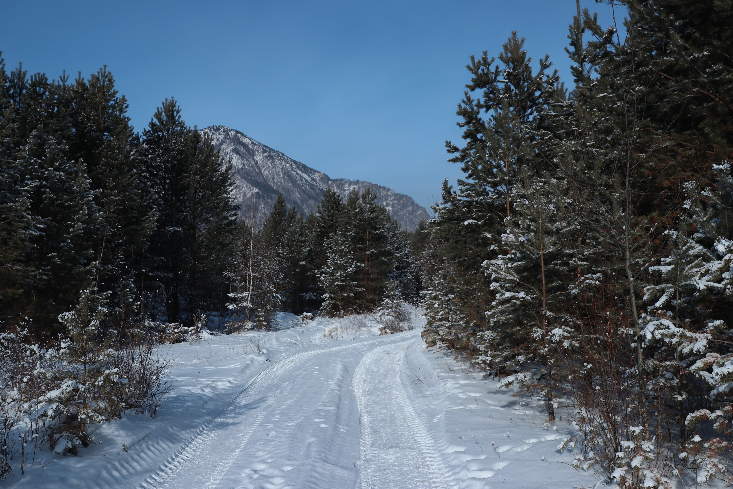 Аршан. Январь 2024. Путешественник-фотограф из Санкт-Петербурга Татьяна Свистулина