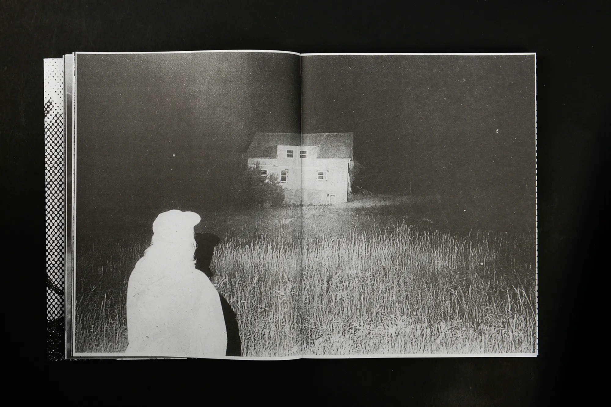 ПОПУЛЯРНЫЕ ОШИБКИ ПРИ СОЗДАНИИ ФОТОКНИГИ. Самоорганизация Низина