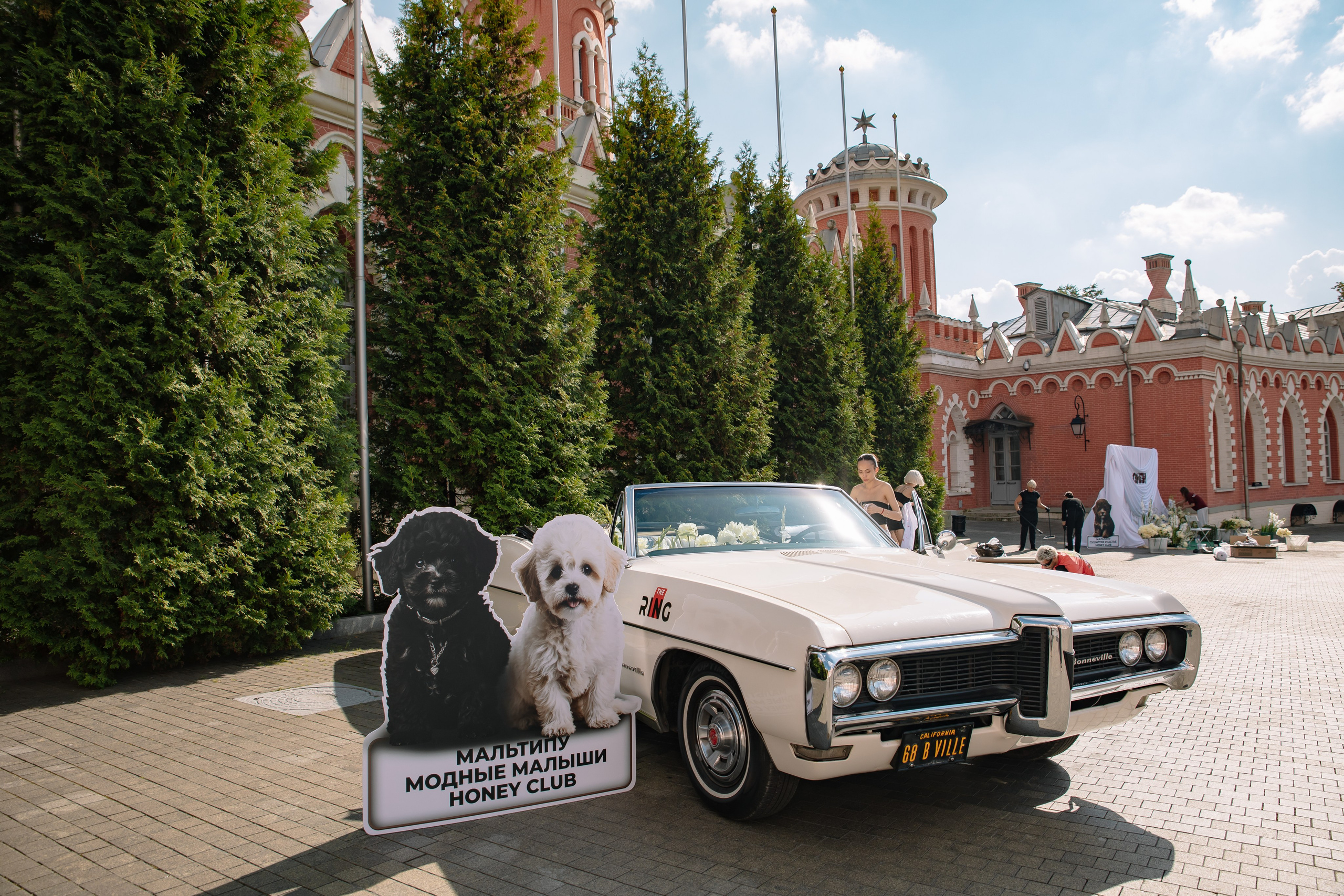 AESTHETIC ONLY в Петровском путевом дворце. Фотограф в Москве Яна Полосина