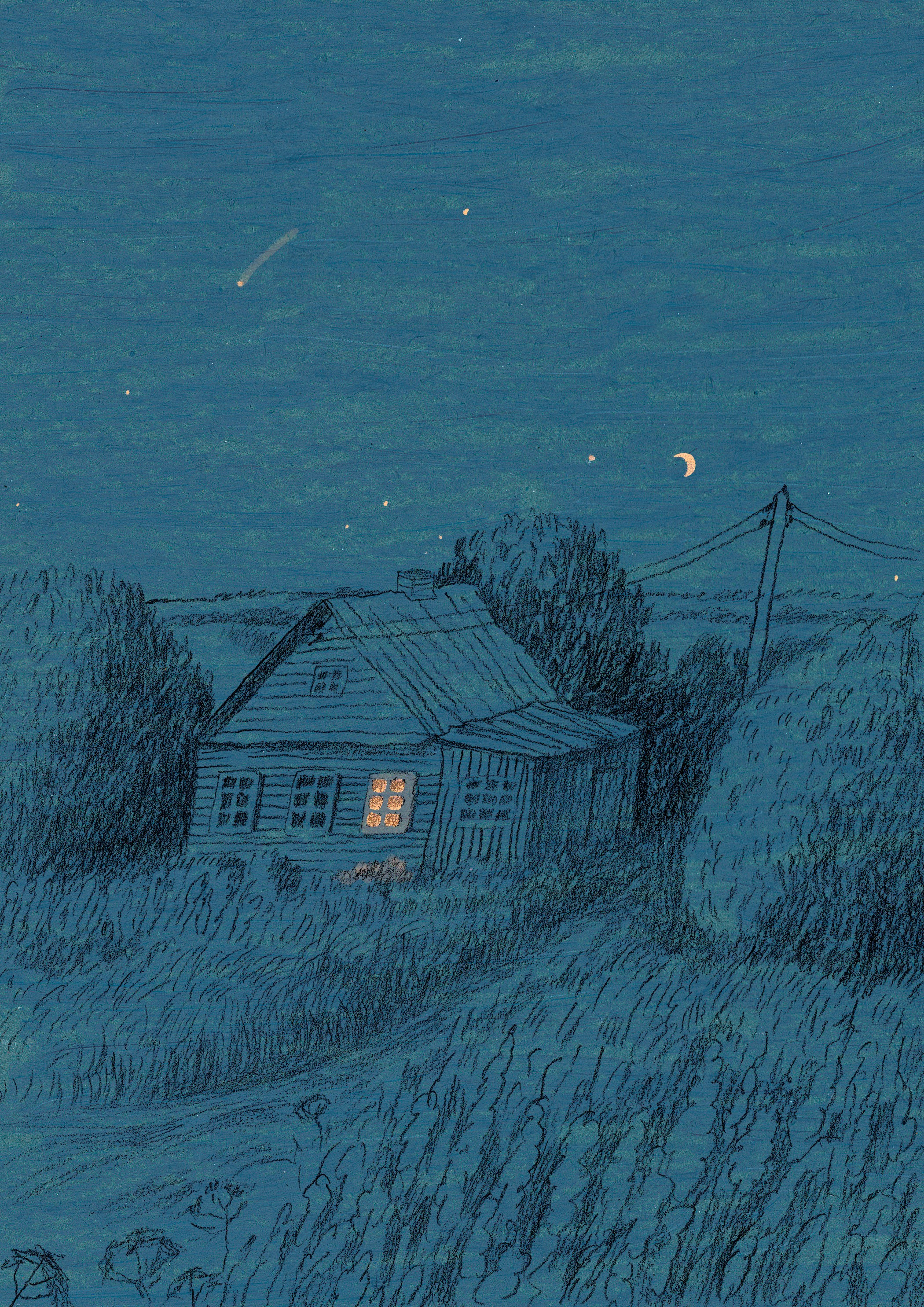 Иллюстрации. Художник Карина Милосердова