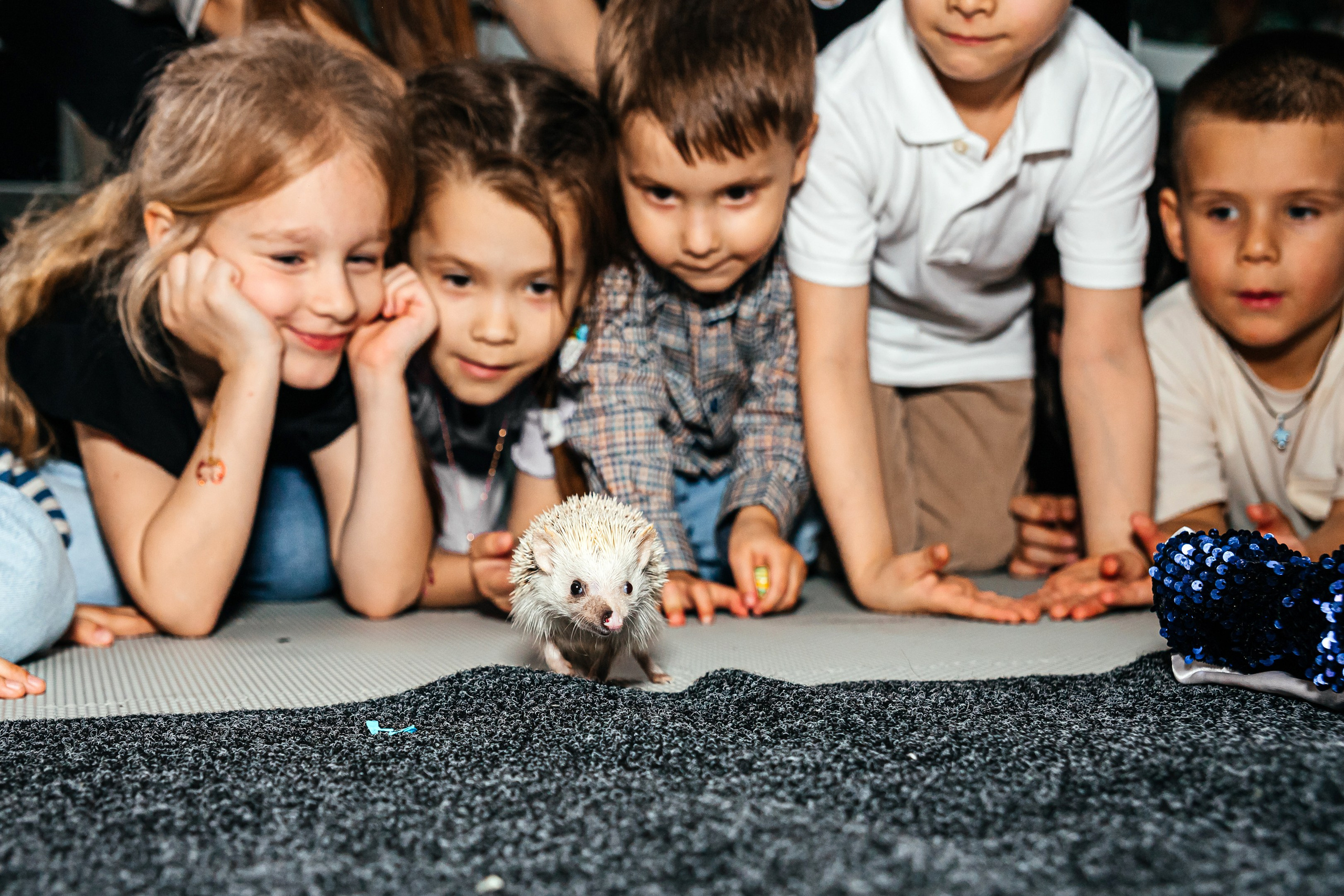 День Рождения Тимофея. Фотограф Таганрог и Ростов-на-Дону