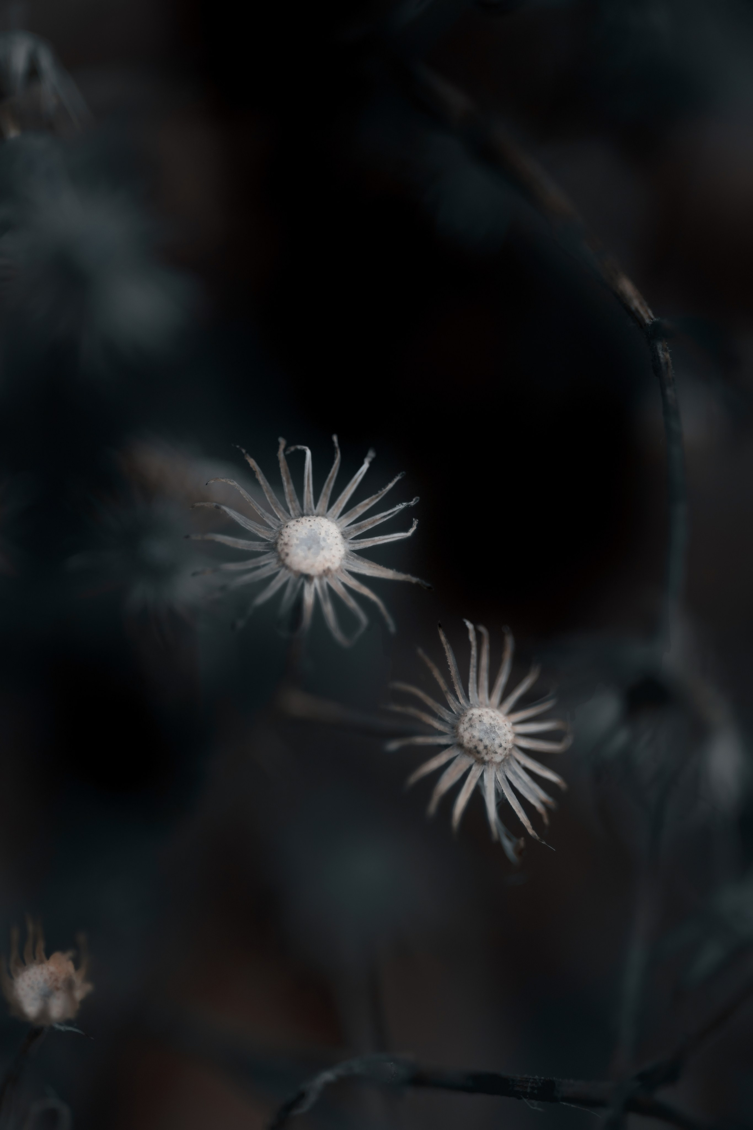 1-й Северный форт Кронштадт