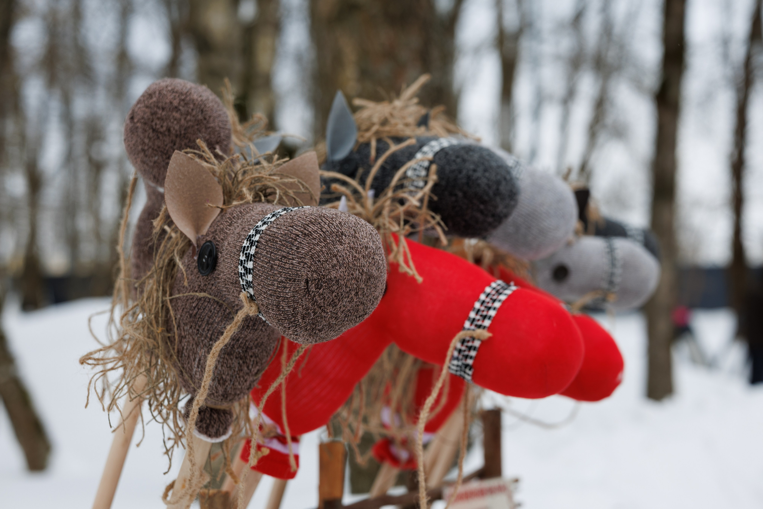 Масленица Солнечногорск 2026. Фотограф Олеся Сухова в Клину