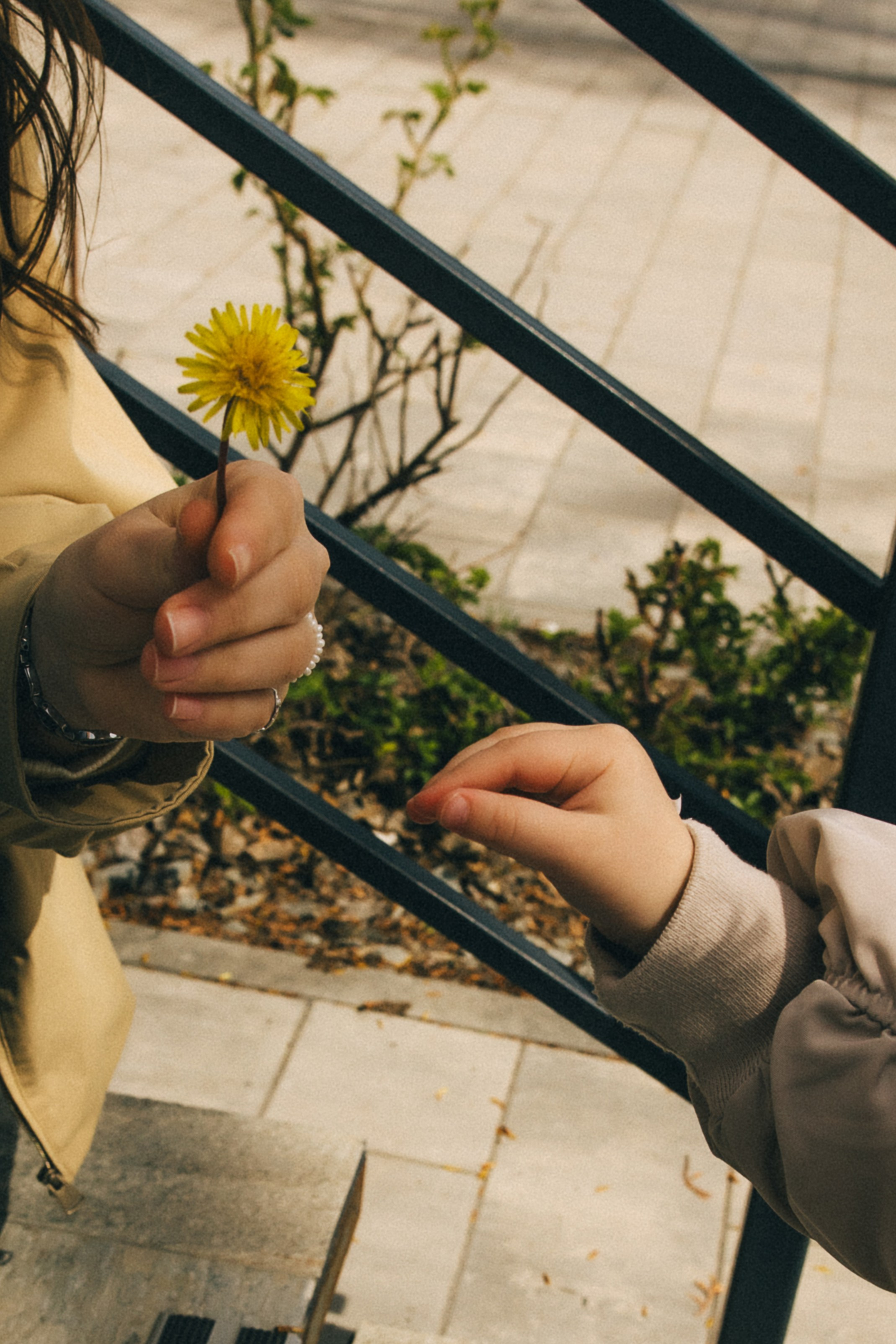 Алина и Агата. Семейный фотограф и детский фотограф в Волгограде Алеся Бутакова — дет