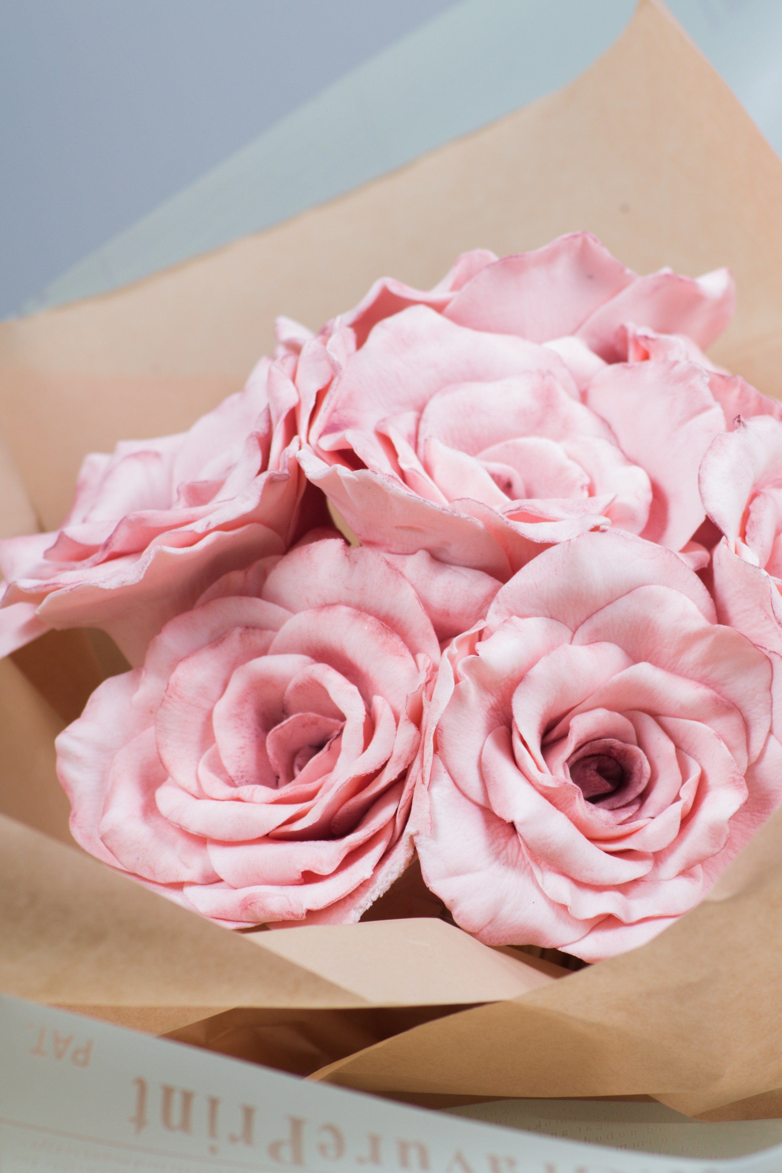 Портфолио. Портретный фотограф в Иваново Дмитрий Егоров