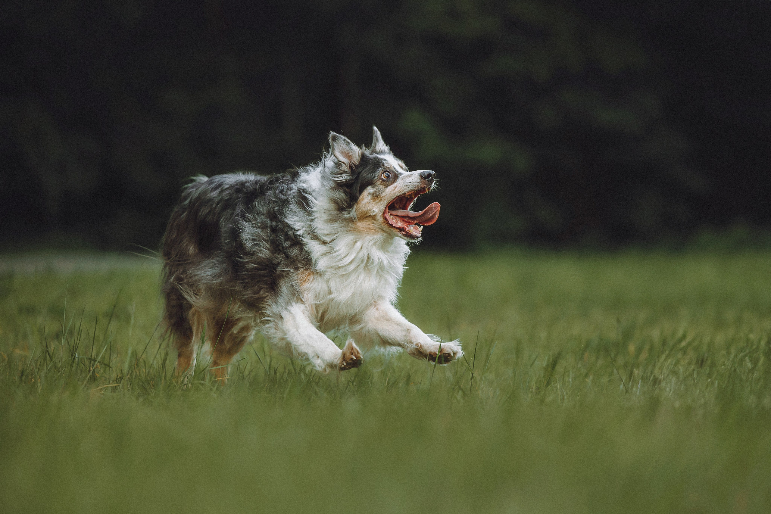 Полина, Милли и Пад