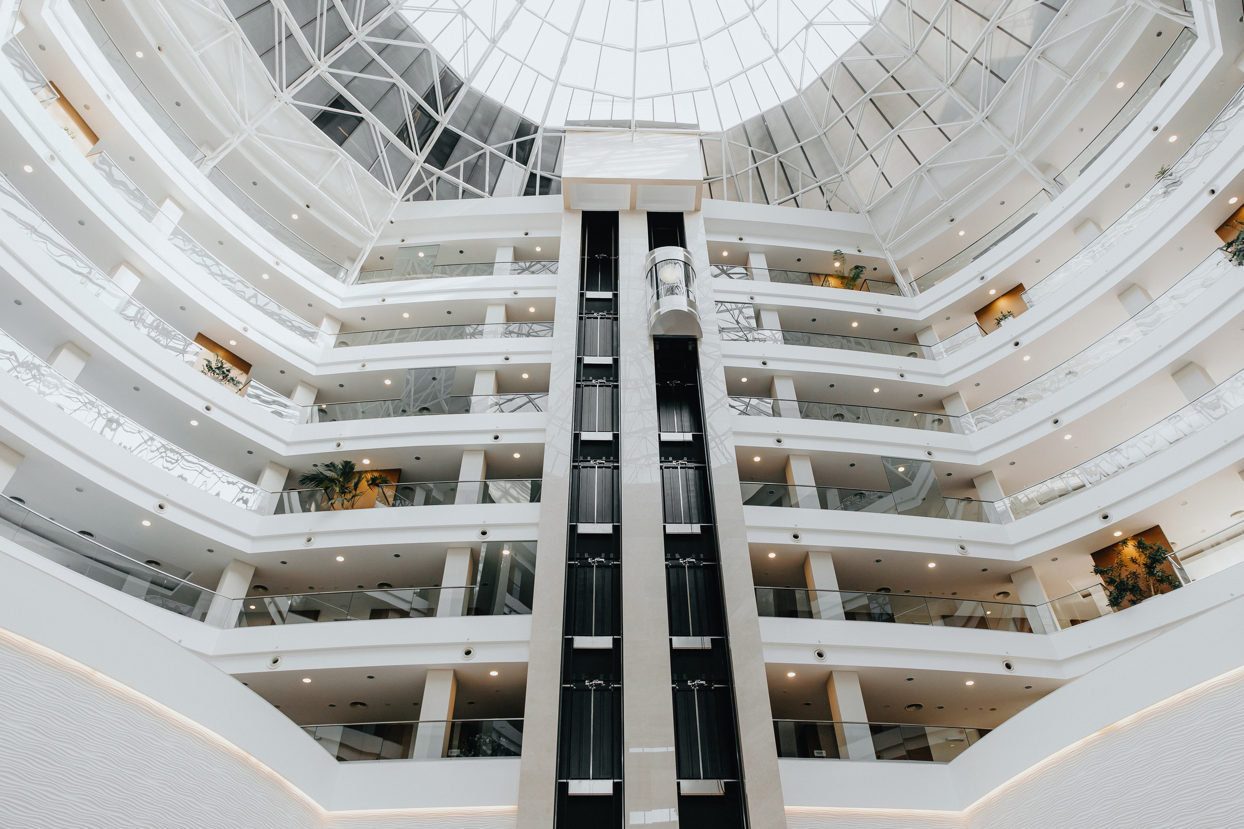 Саша и Миша. Свадебный фотограф и видеограф Когай Дмитрий и Юлия