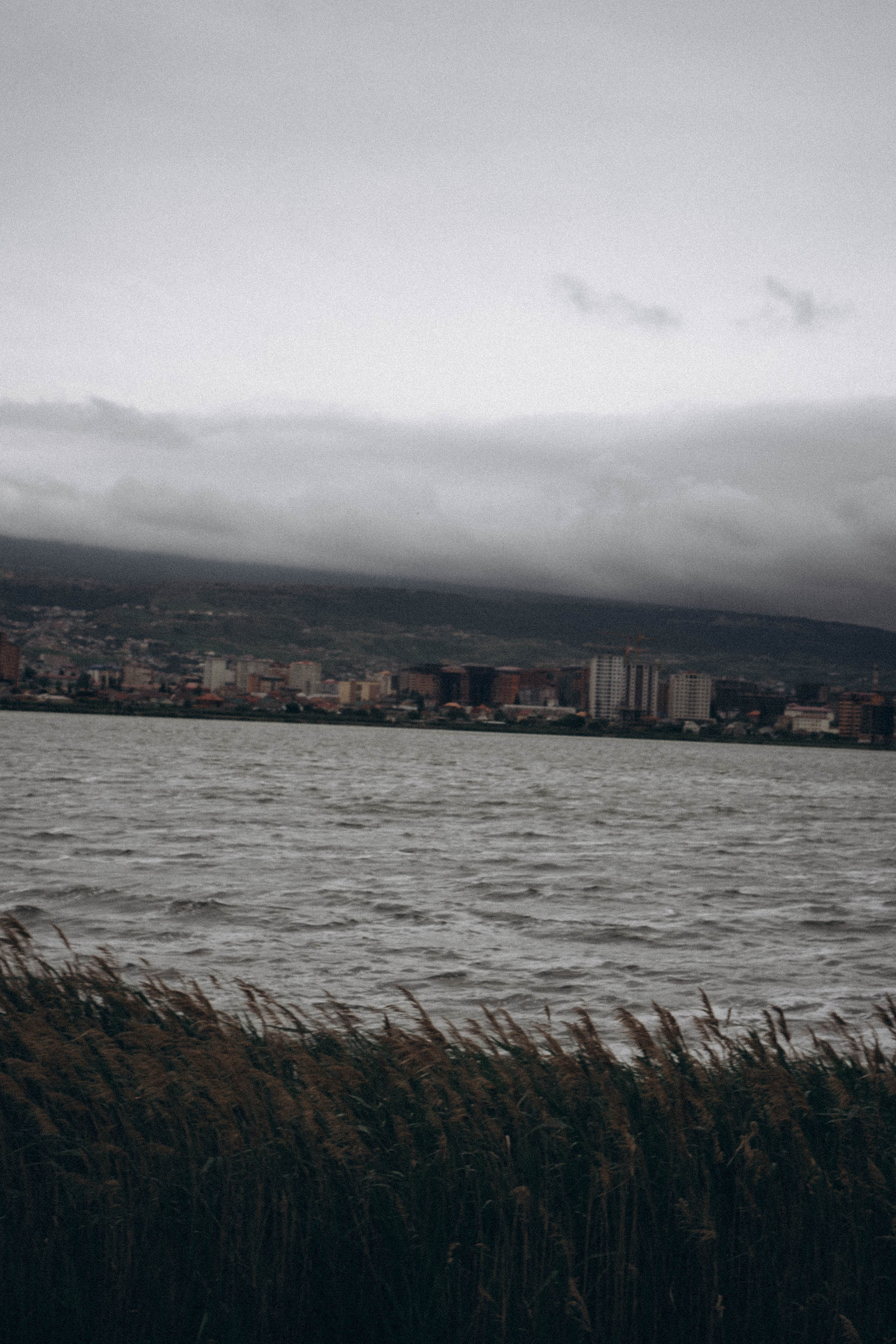 Кавказ. Профессиональный фотограф, Санкт-Петербург — Виктория Богомолова