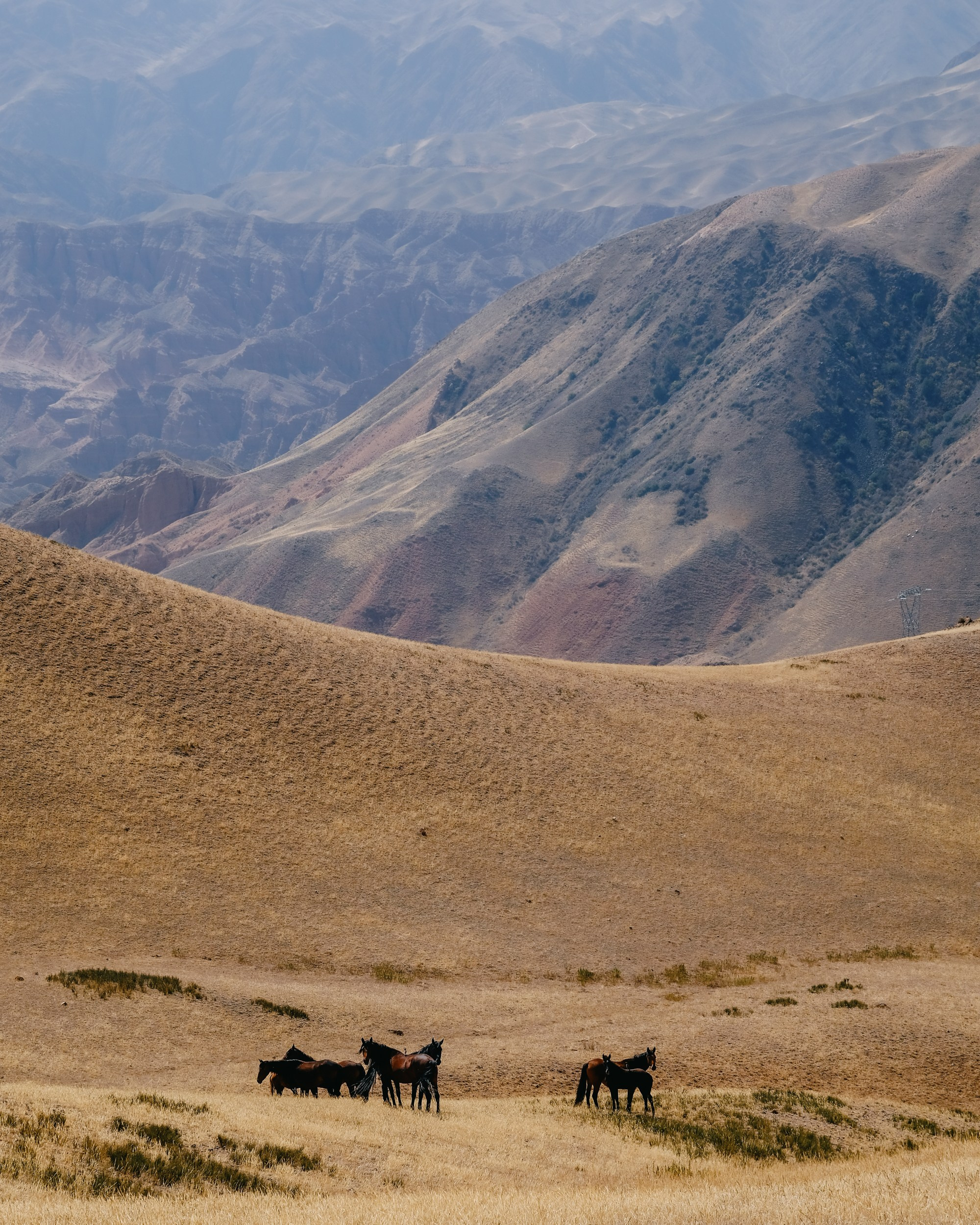 Кыргызстан. Фотограф Дмитрий Олрайт | Калуга, Россия