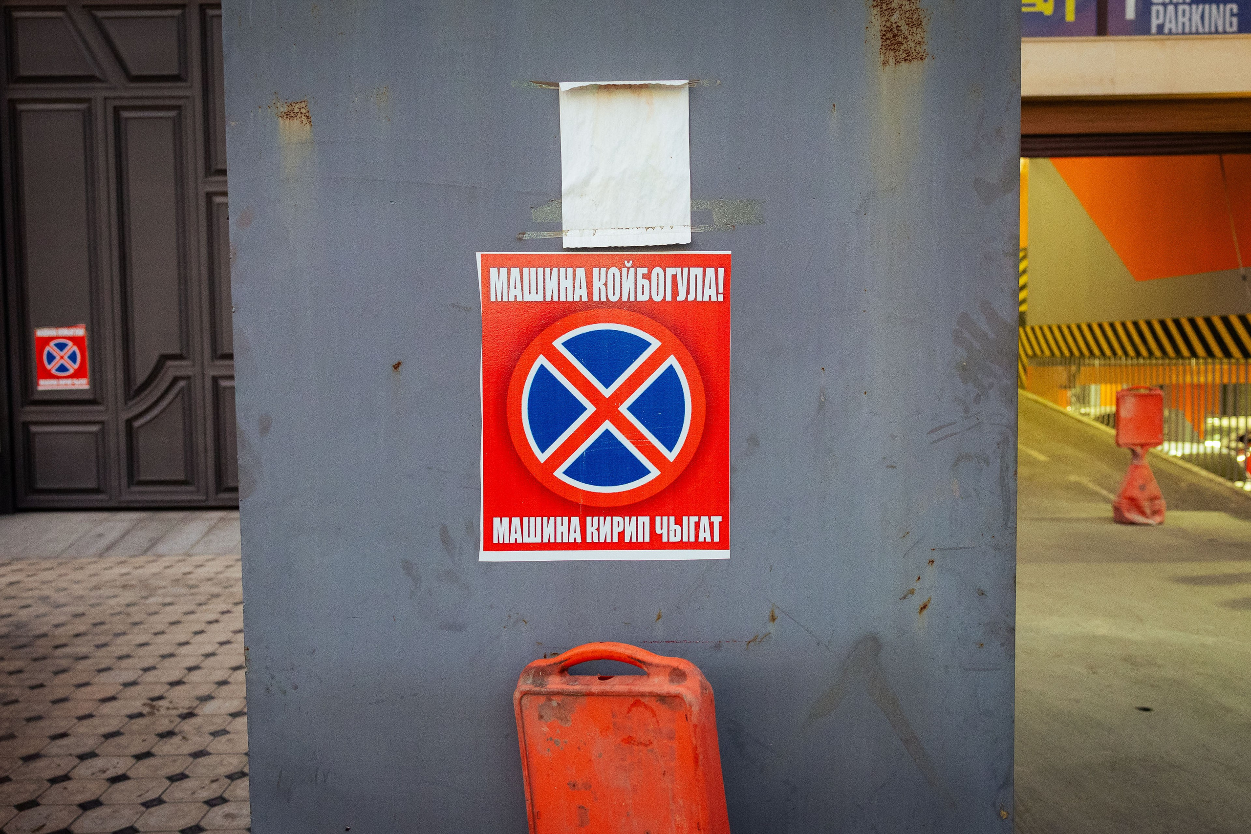 Кыргызстан (весна 2025). Фотограф Виноградов Константин