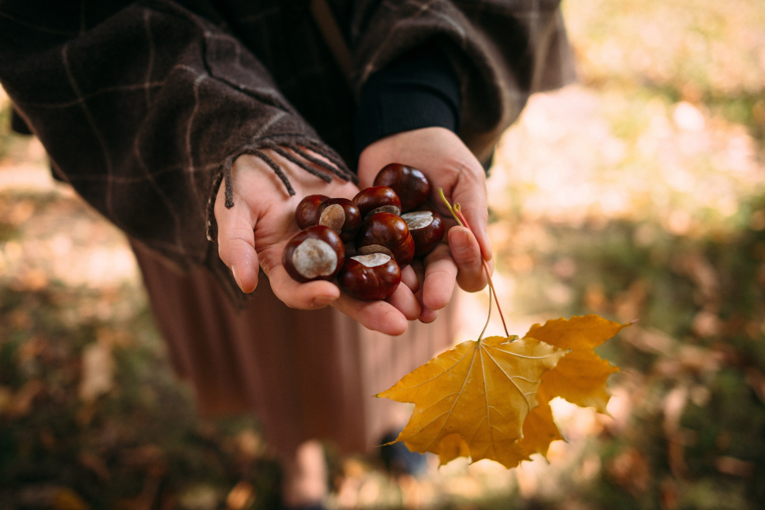 Семейный фотограф Старчиков Илья