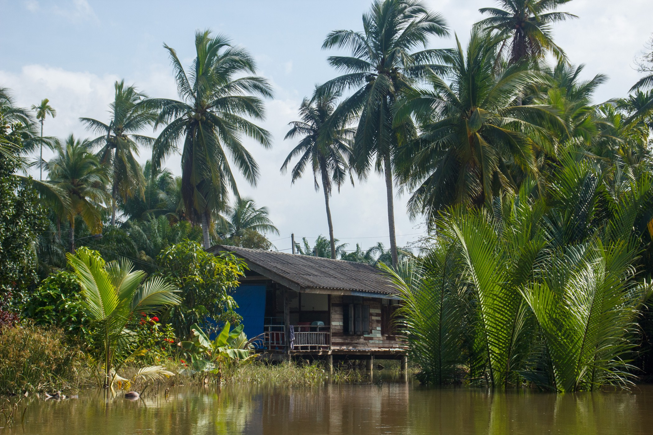 Сураттхани. Photographer in Phuket