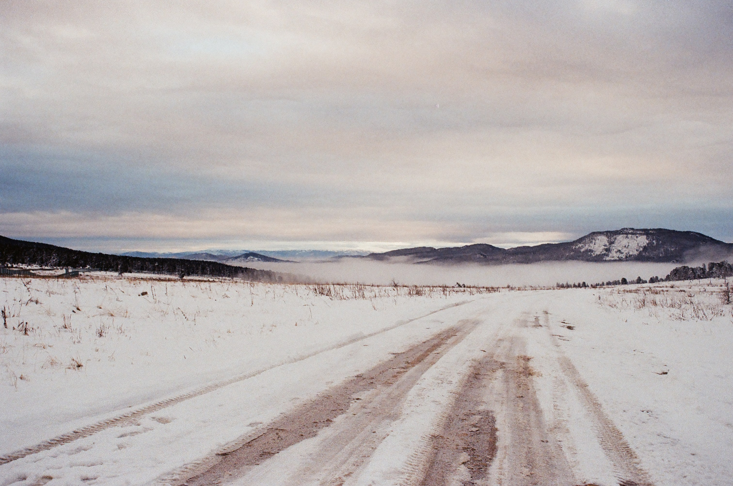 Плёнка. Свадебный и портретный фотограф в Тюмени Женя Черемнова