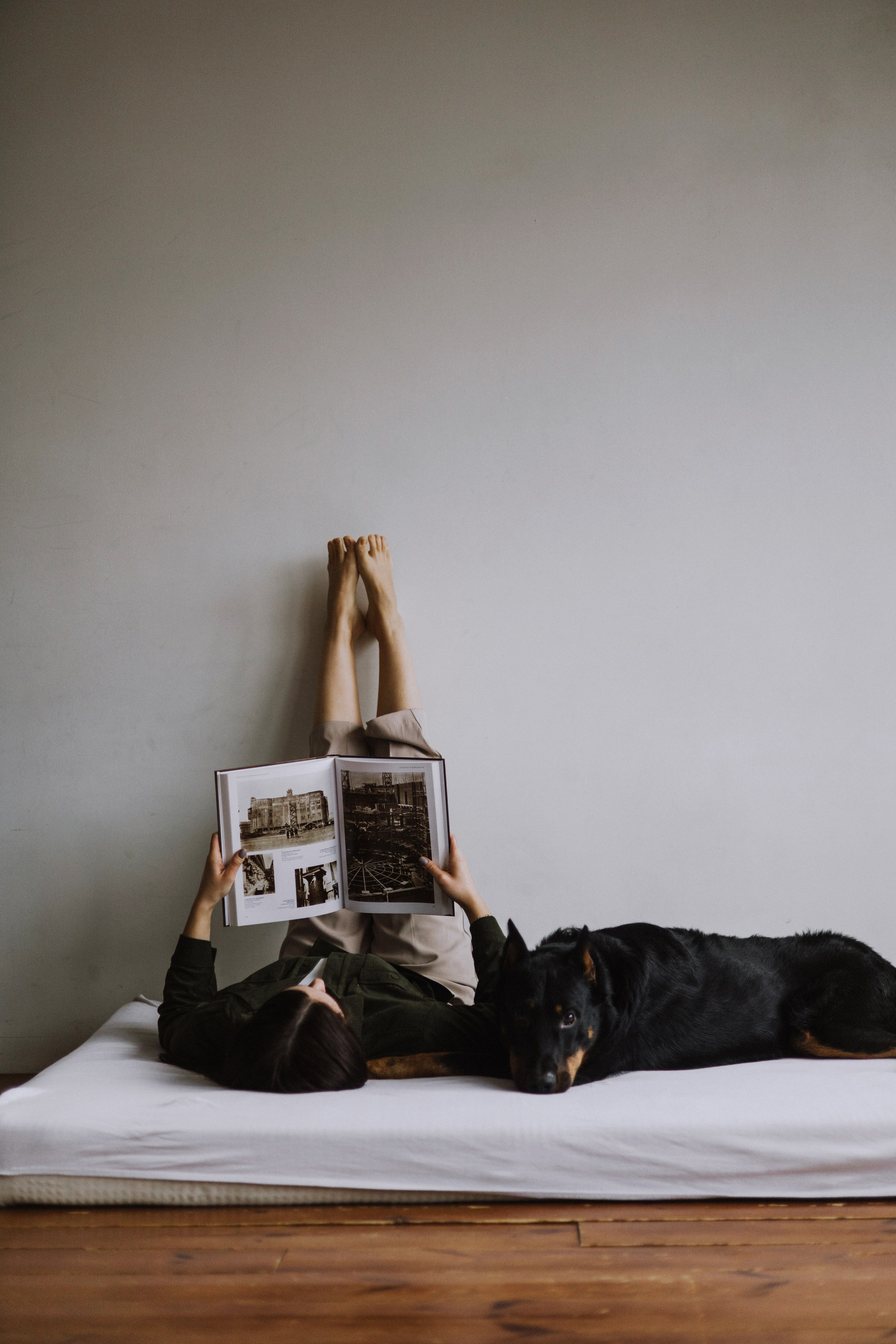 Полина и Зевс. Фотограф-анималист Богданова Полина