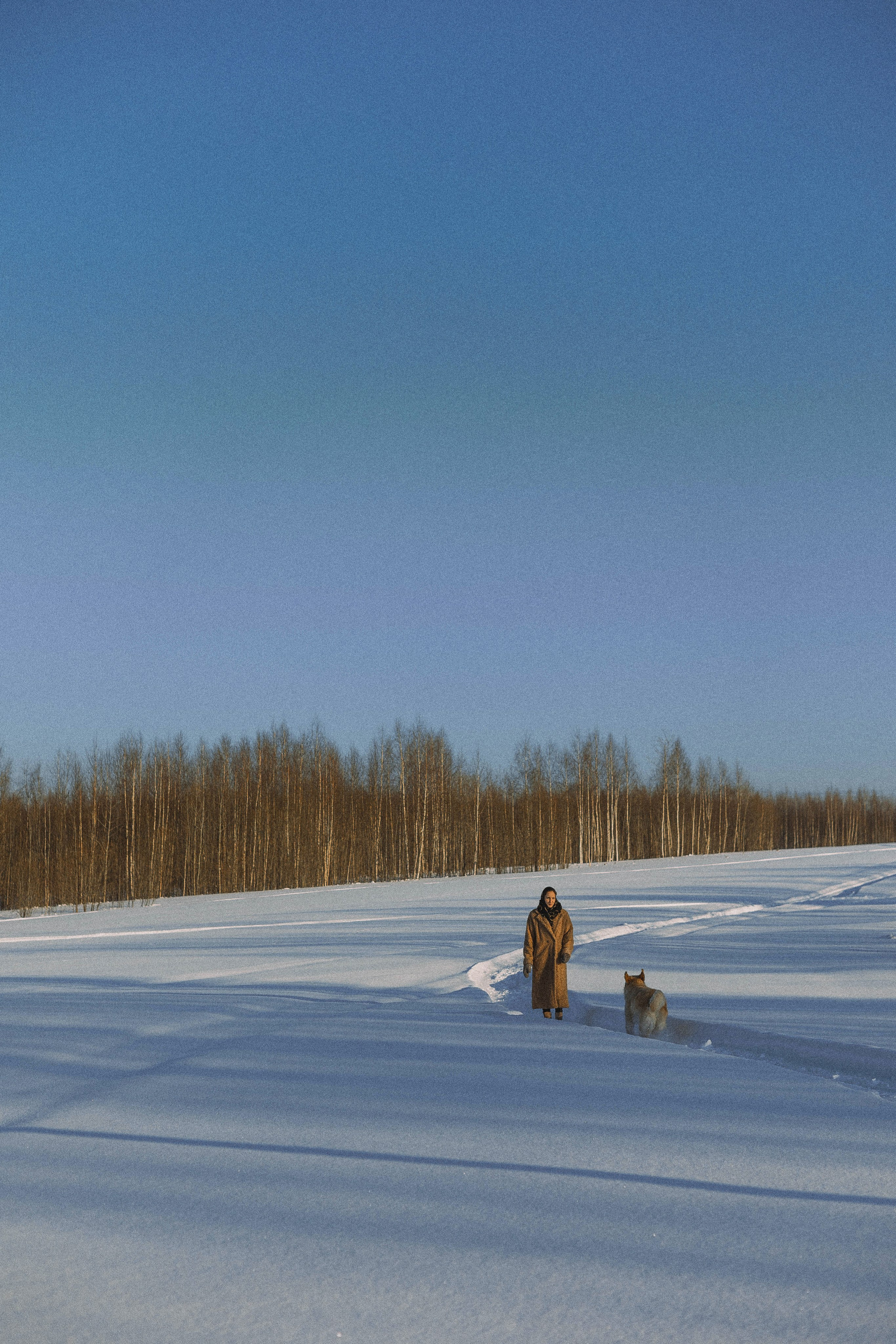 Лена и Декстер. Фотограф-анималист Богданова Полина