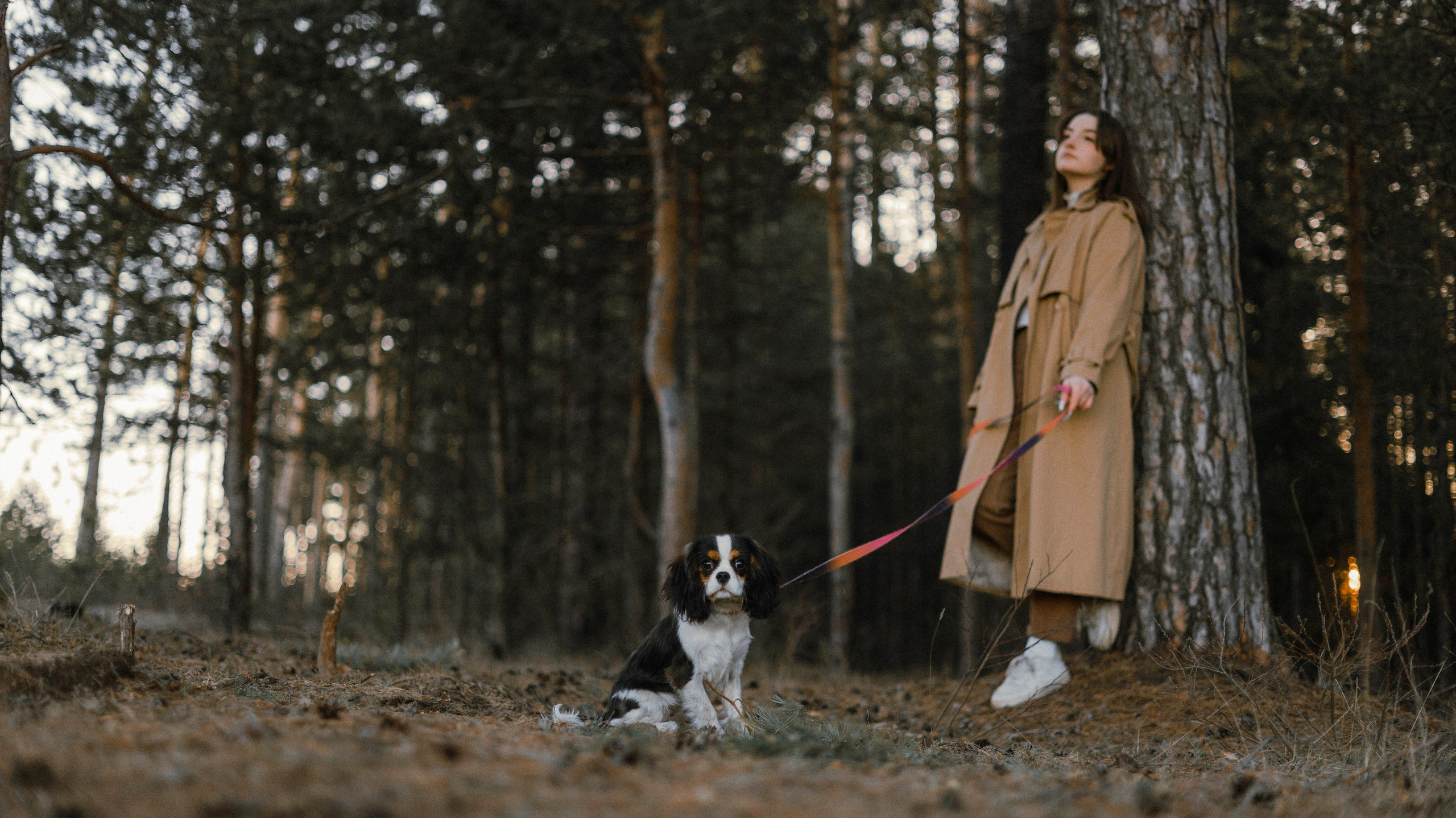 Ангелина и Йен. Фотограф-анималист Богданова Полина