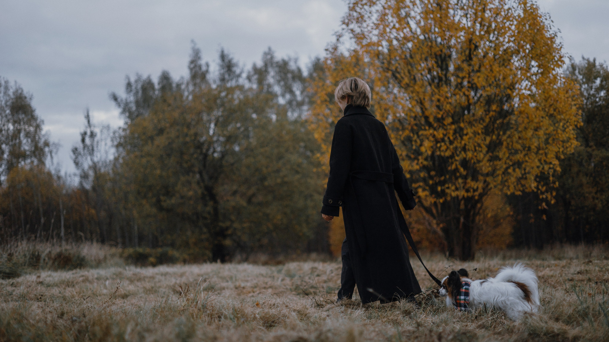 Маша, Катя, Астрид и Мася. Фотограф-анималист Богданова Полина
