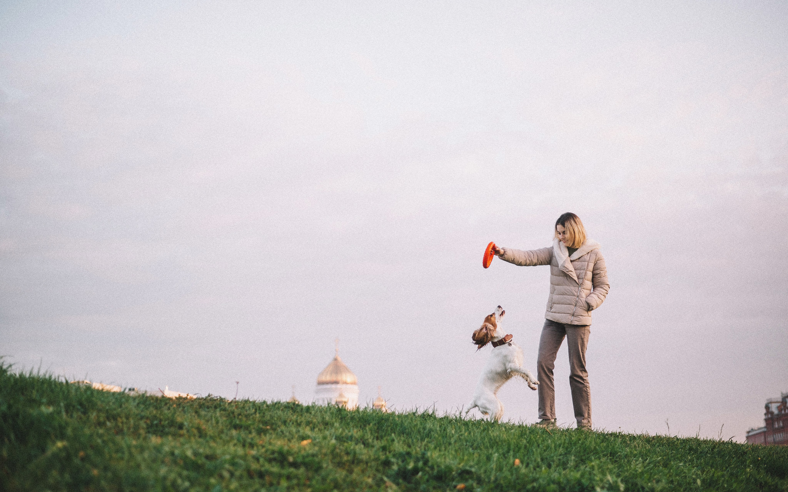 Маша и Вега. Фотограф-анималист Богданова Полина