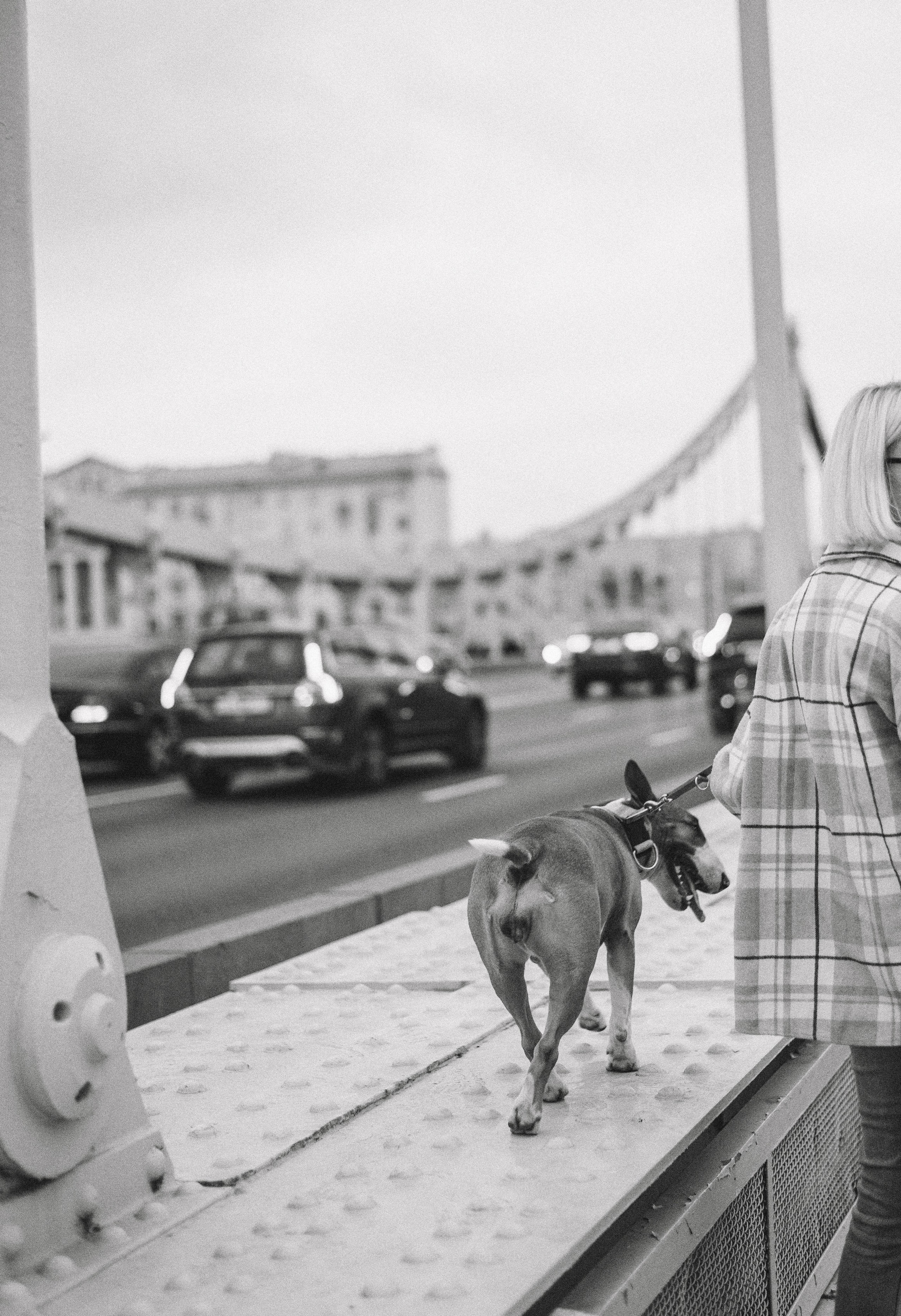 Маша и Рулька. Фотограф-анималист Богданова Полина