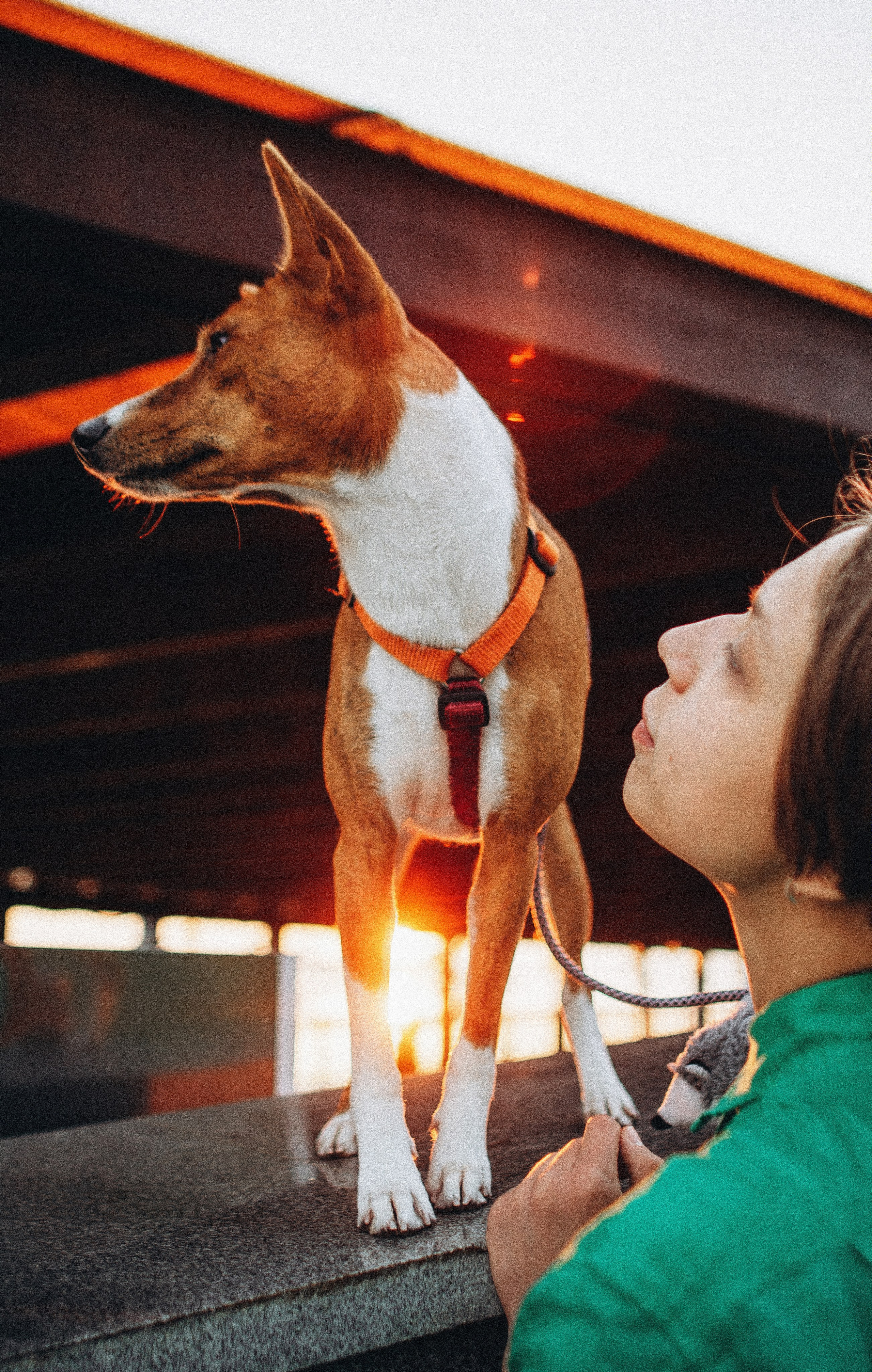Снежана и Мэнни. Фотограф-анималист Богданова Полина