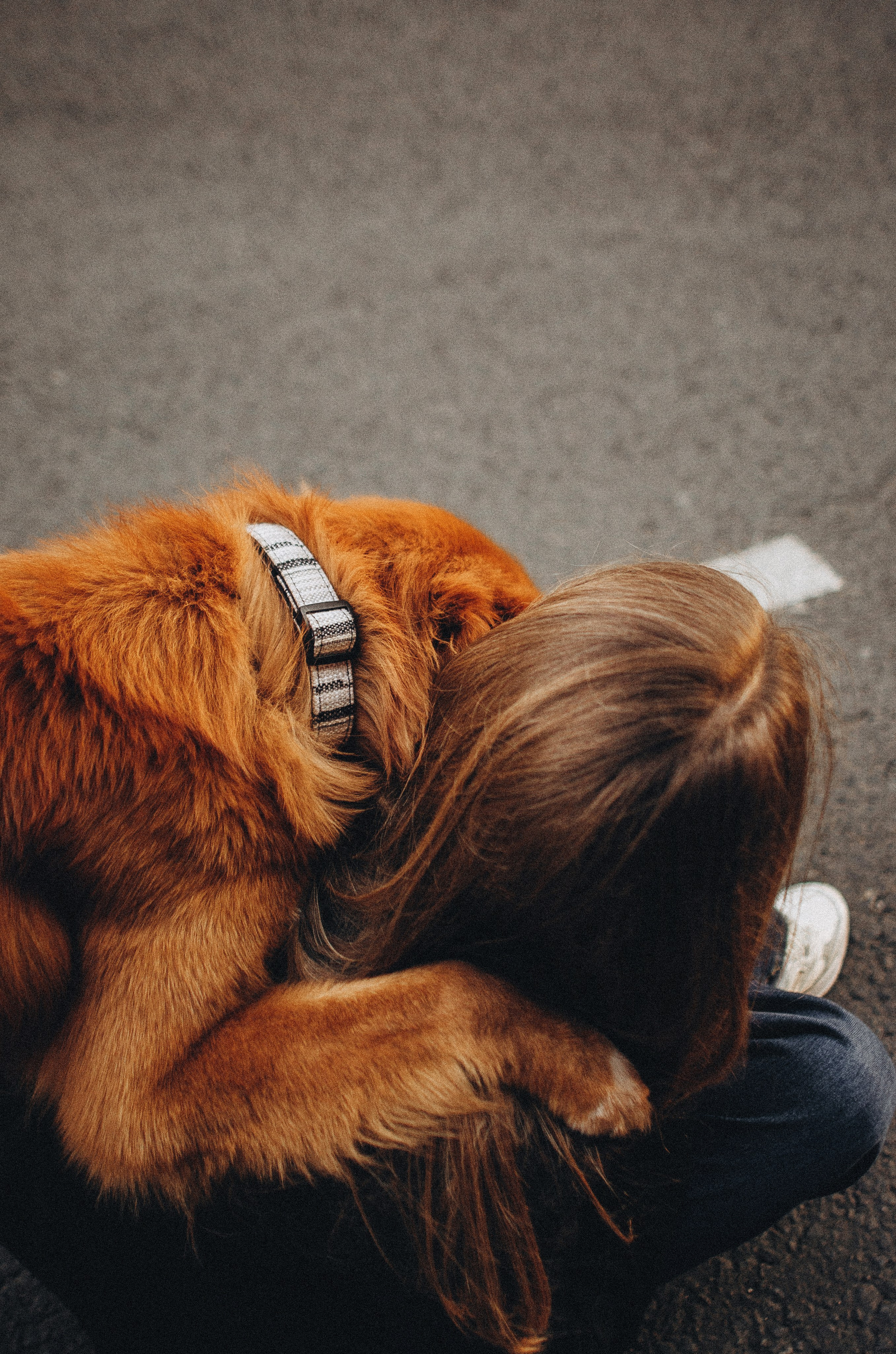 Алина и Бис. Фотограф-анималист Богданова Полина