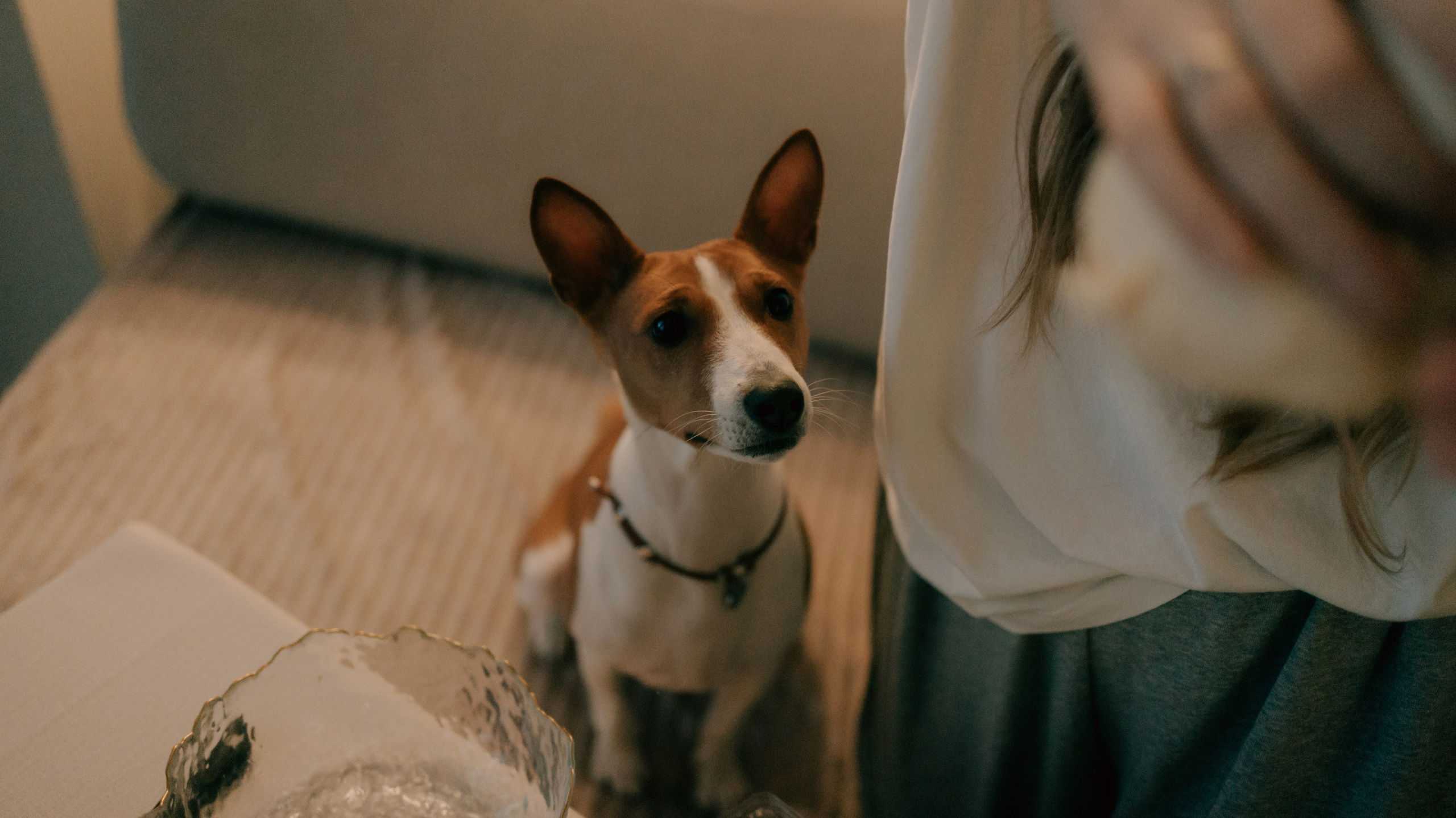 Люба, Никита и Бахати. Фотограф-анималист Богданова Полина