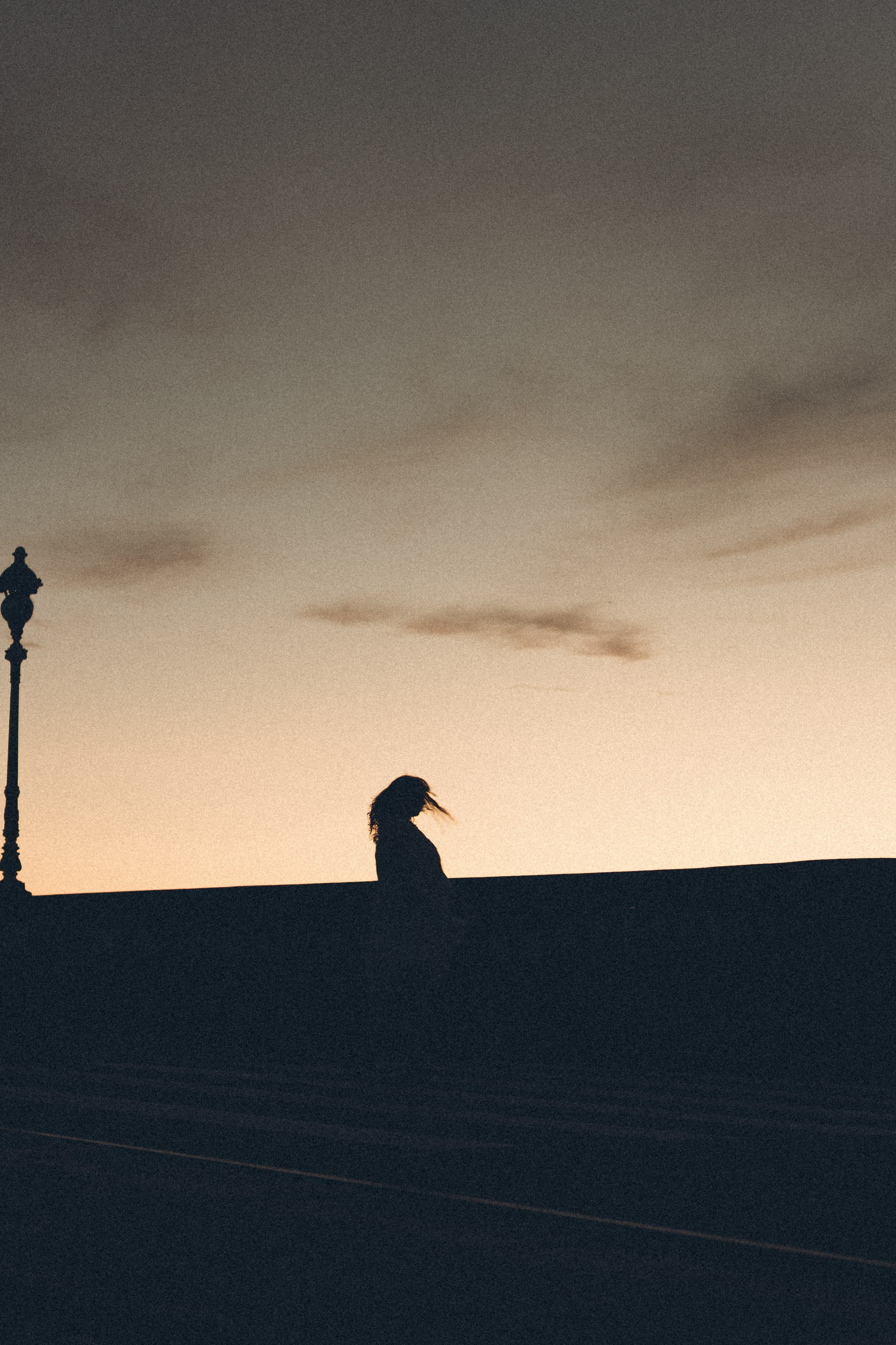 РАССВЕТ С РАЗВОДНЫМИ МОСТАМИ. Профессиональный фотограф, Санкт-Петербург — Виктория Богомолова