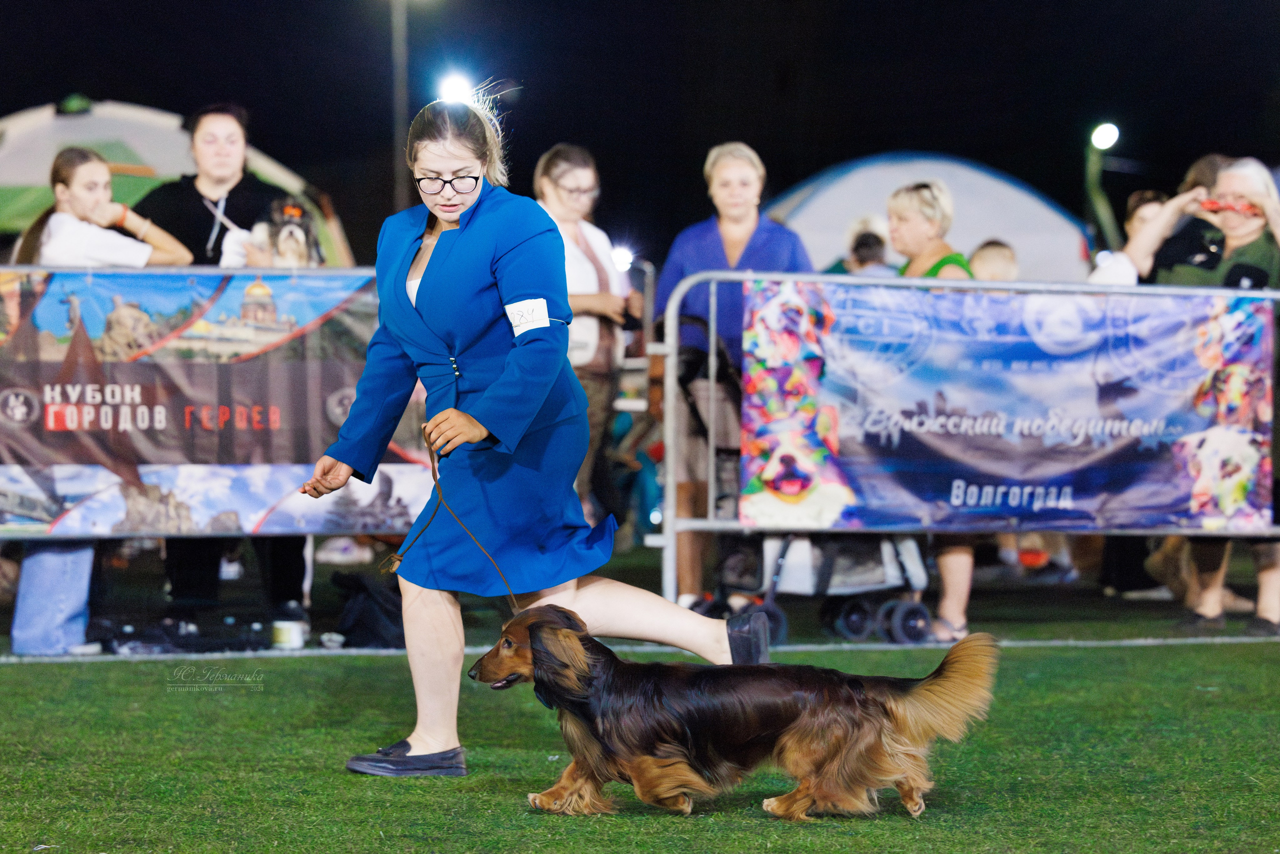 Волгоград 2-4.08.2024. Фотограф-анималист Юлия Германика