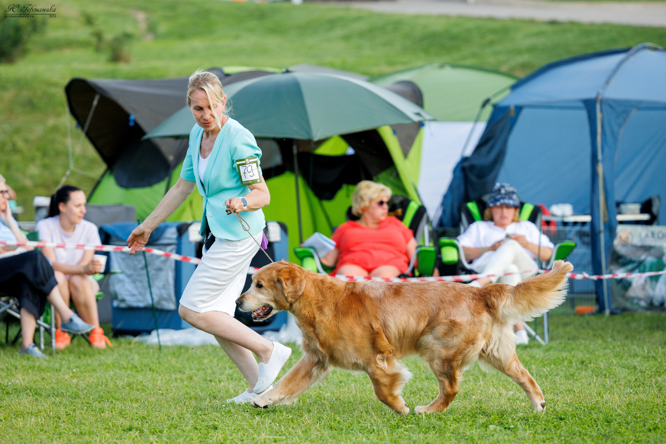 Голдены 15-16.06.2024. Фотограф-анималист Юлия Германика