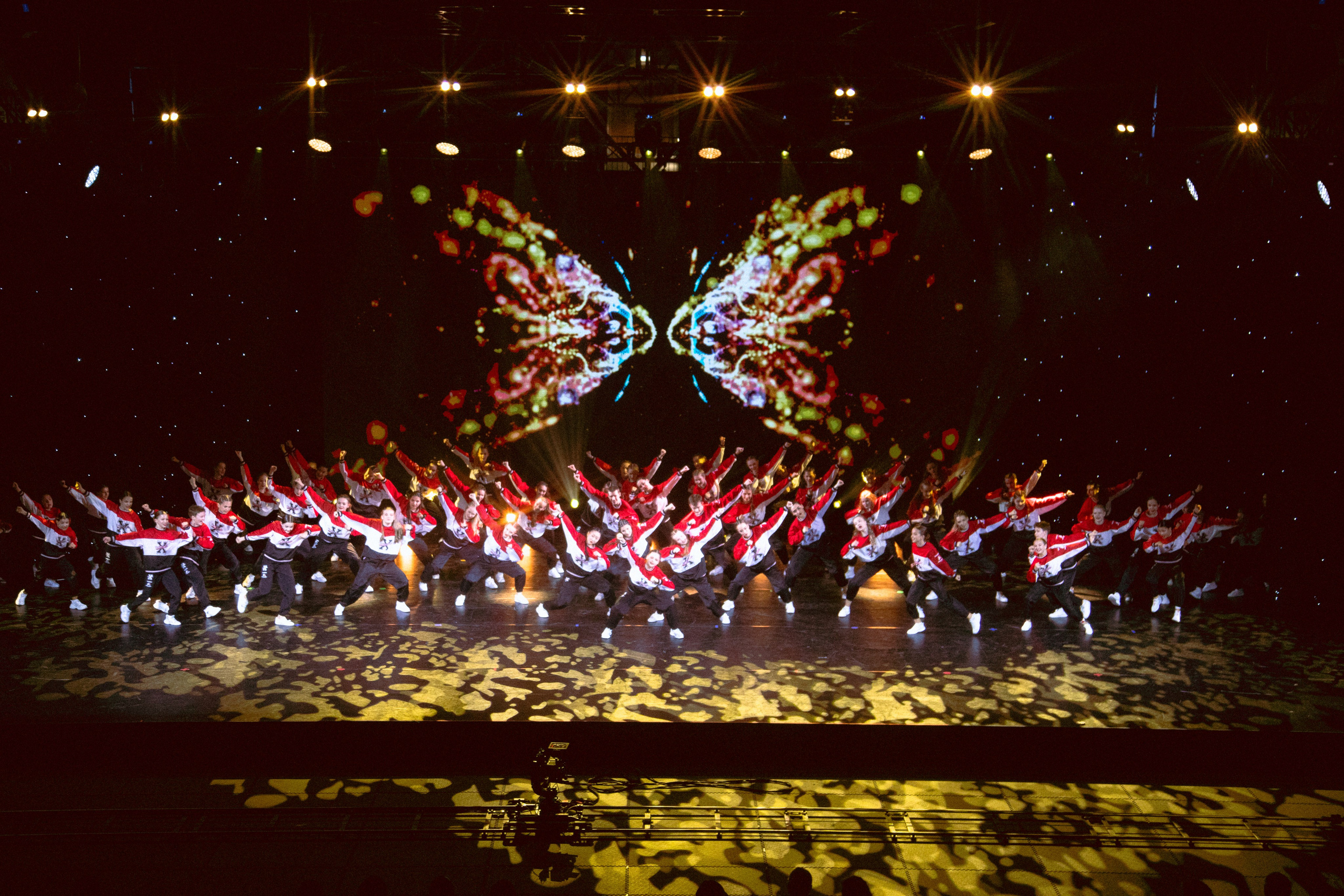 Отчётные концерты TODES. Юлия Кулиш // Pocahontas