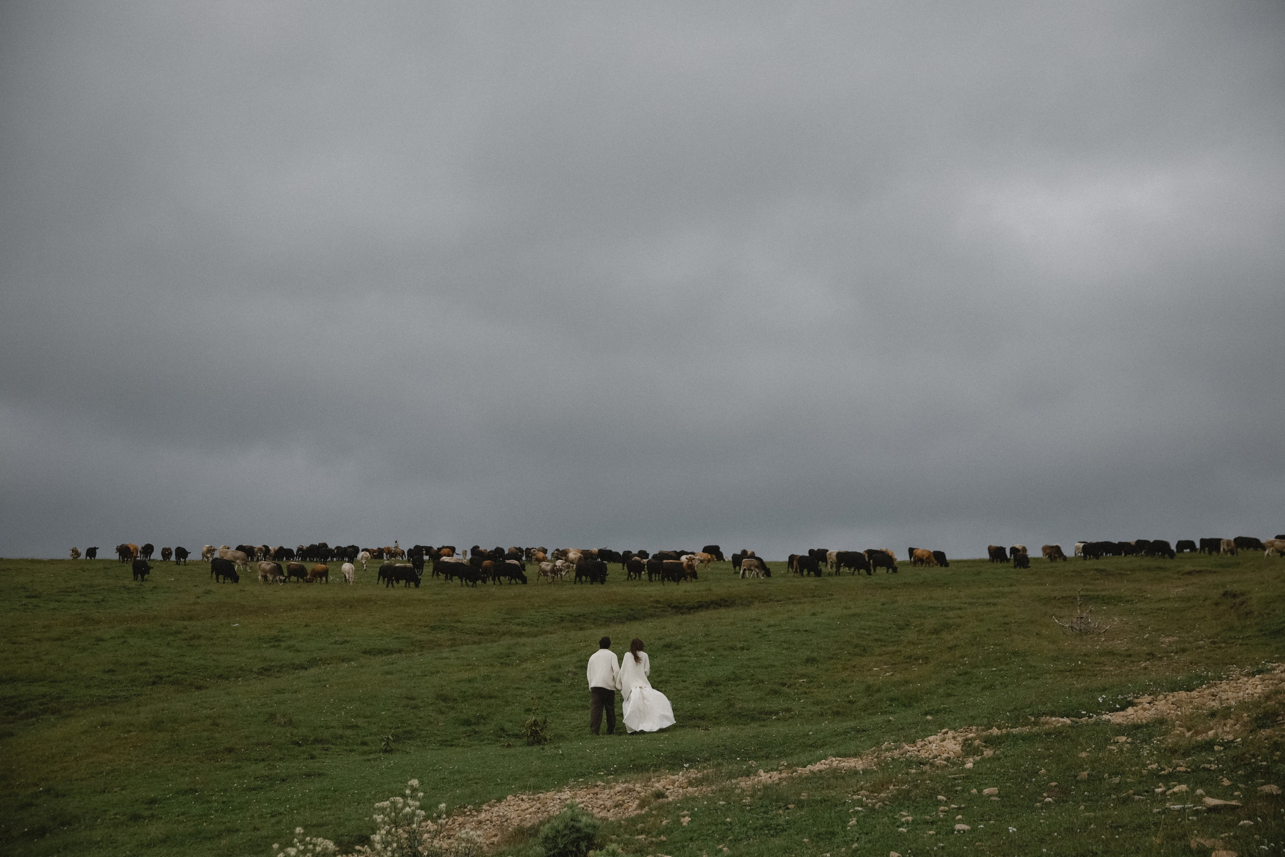 Свадебный, репортажный и портретный фотограф Сочи, Краснодар. Александра Зайцева