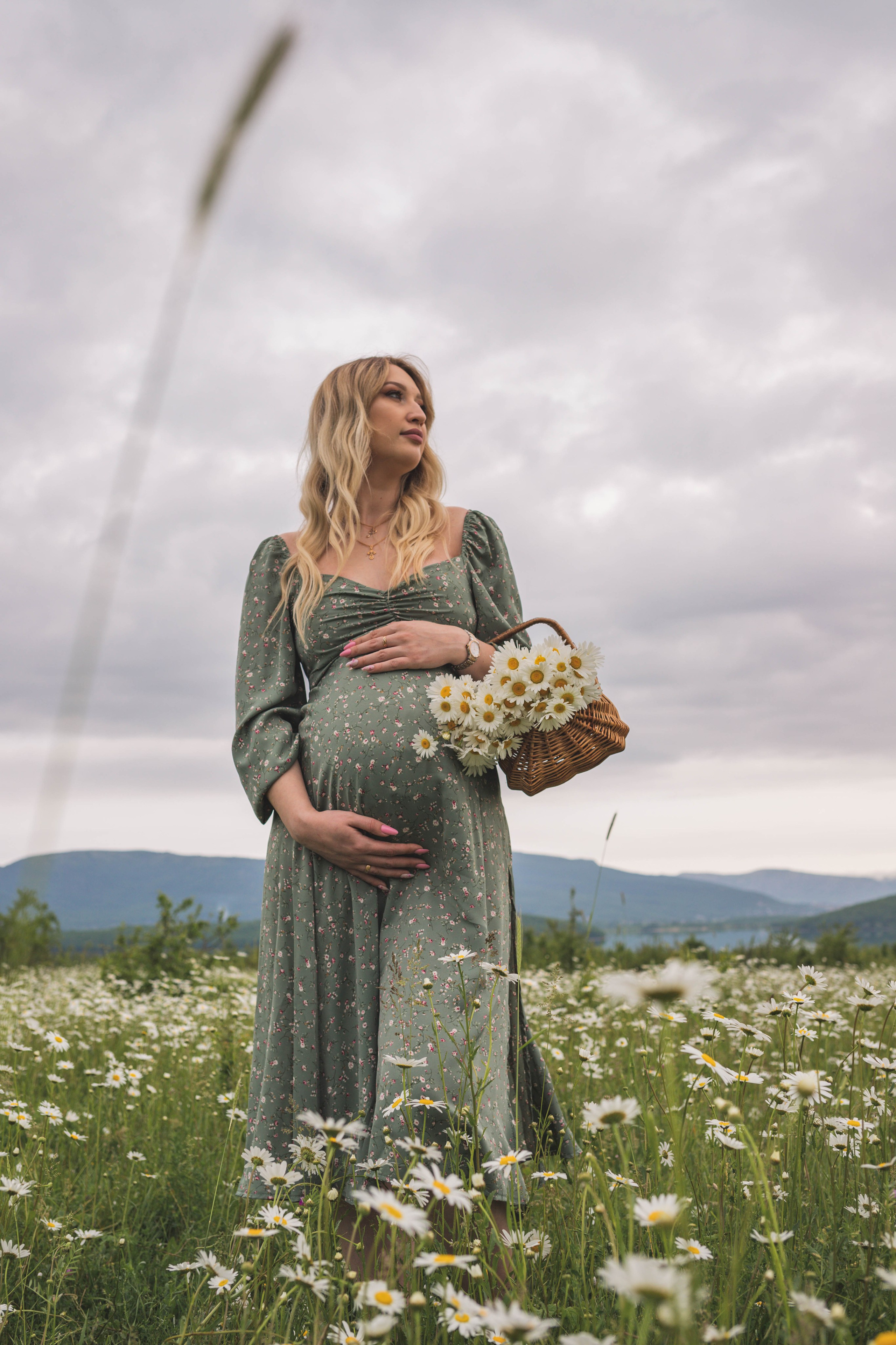 РОМАШКИ. Фотограф Немазенко Ольга