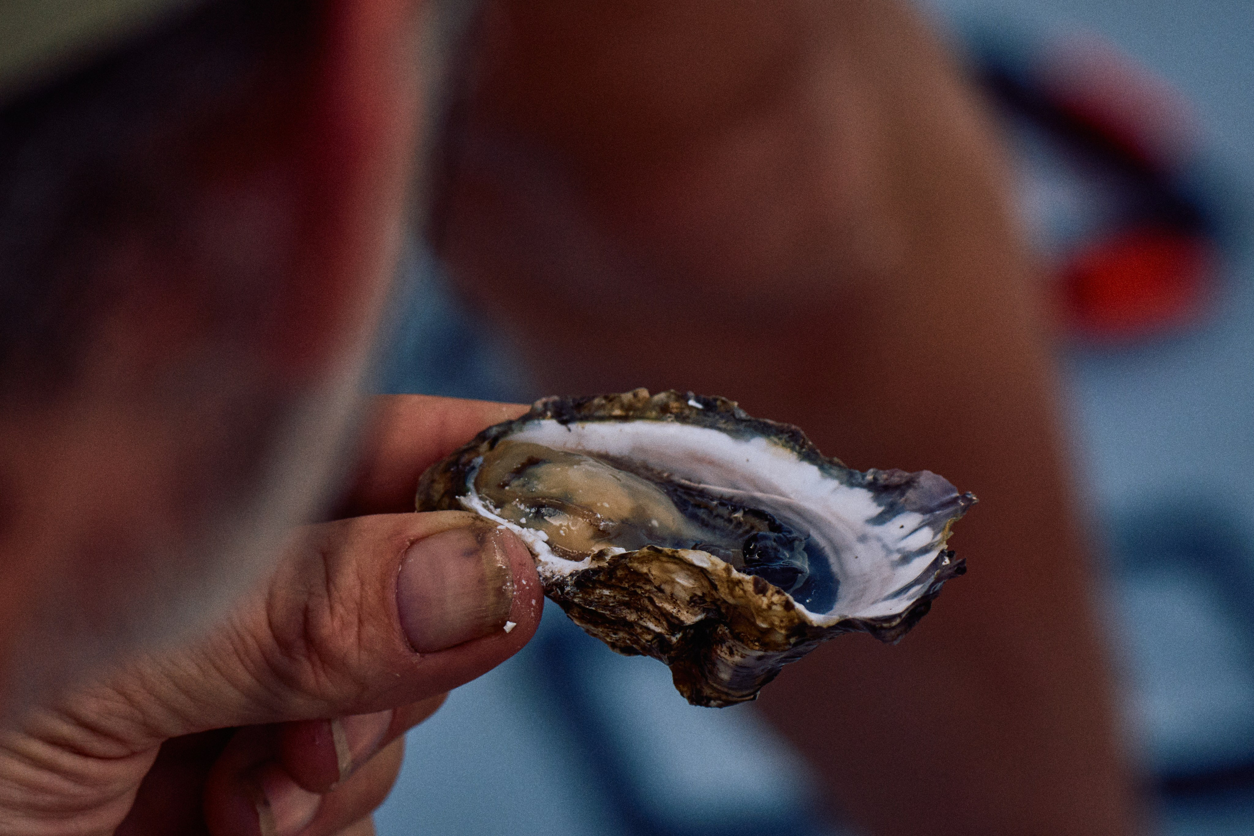 Morocco-Gambia. See the moment and catche. commercial and reportage