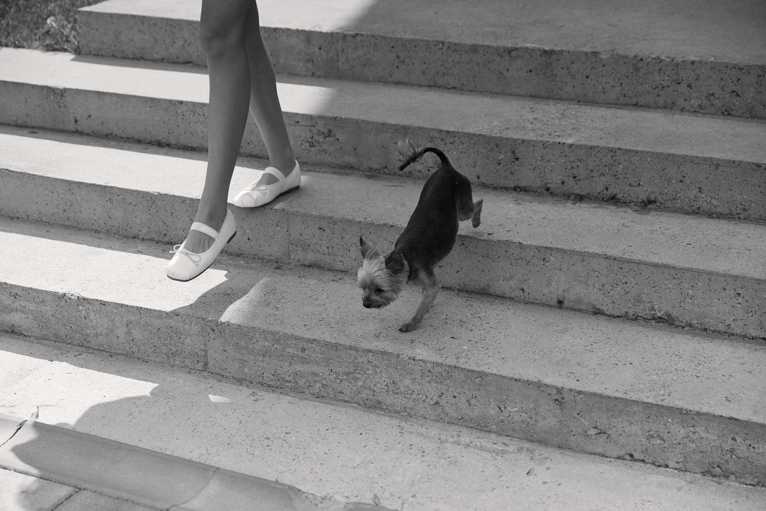 Посмотреть серию. Свадебный и семейный фотограф в Красноярске Тряпчев Павел