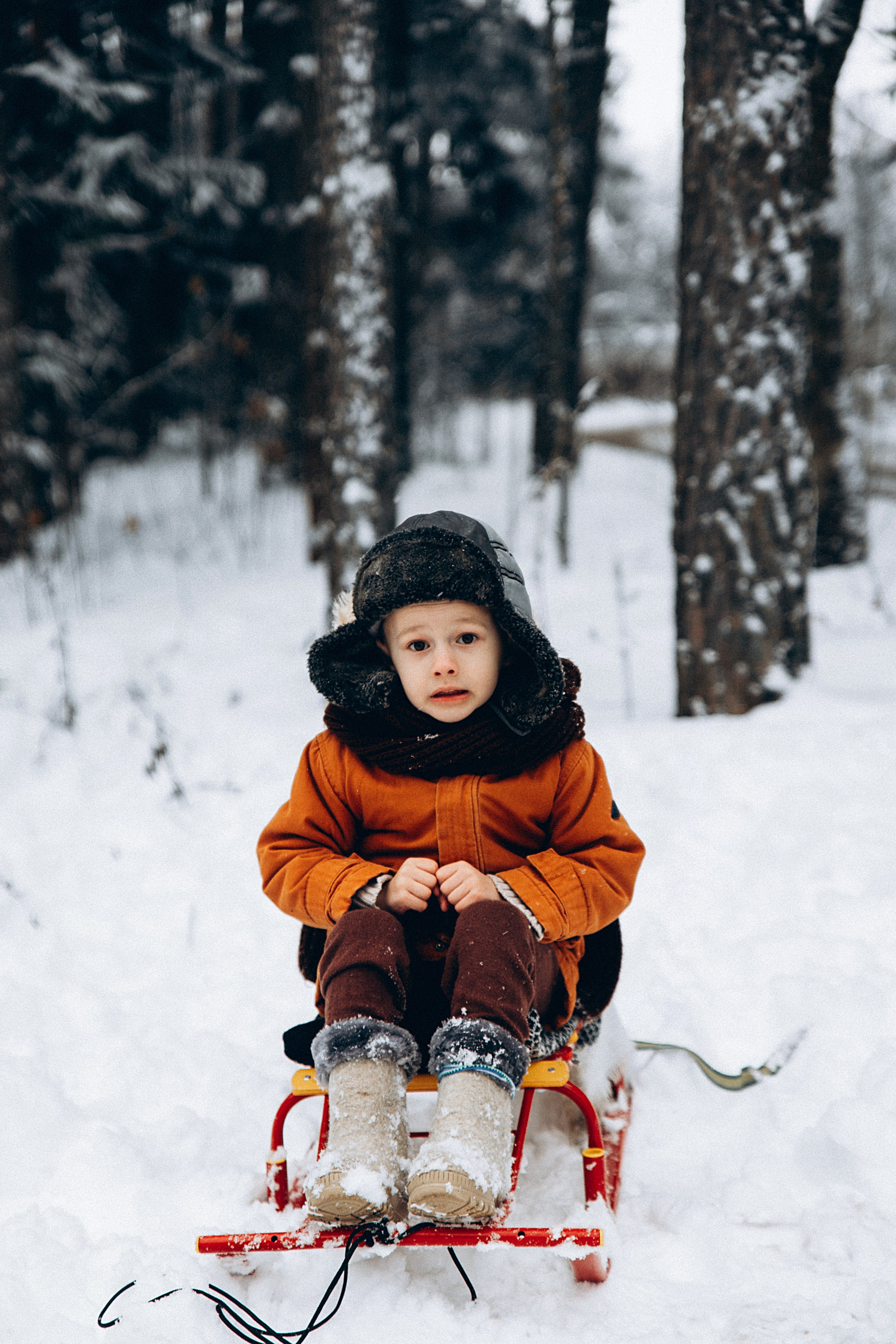 Зимние радости. Репортажный и детский фотограф в Минске