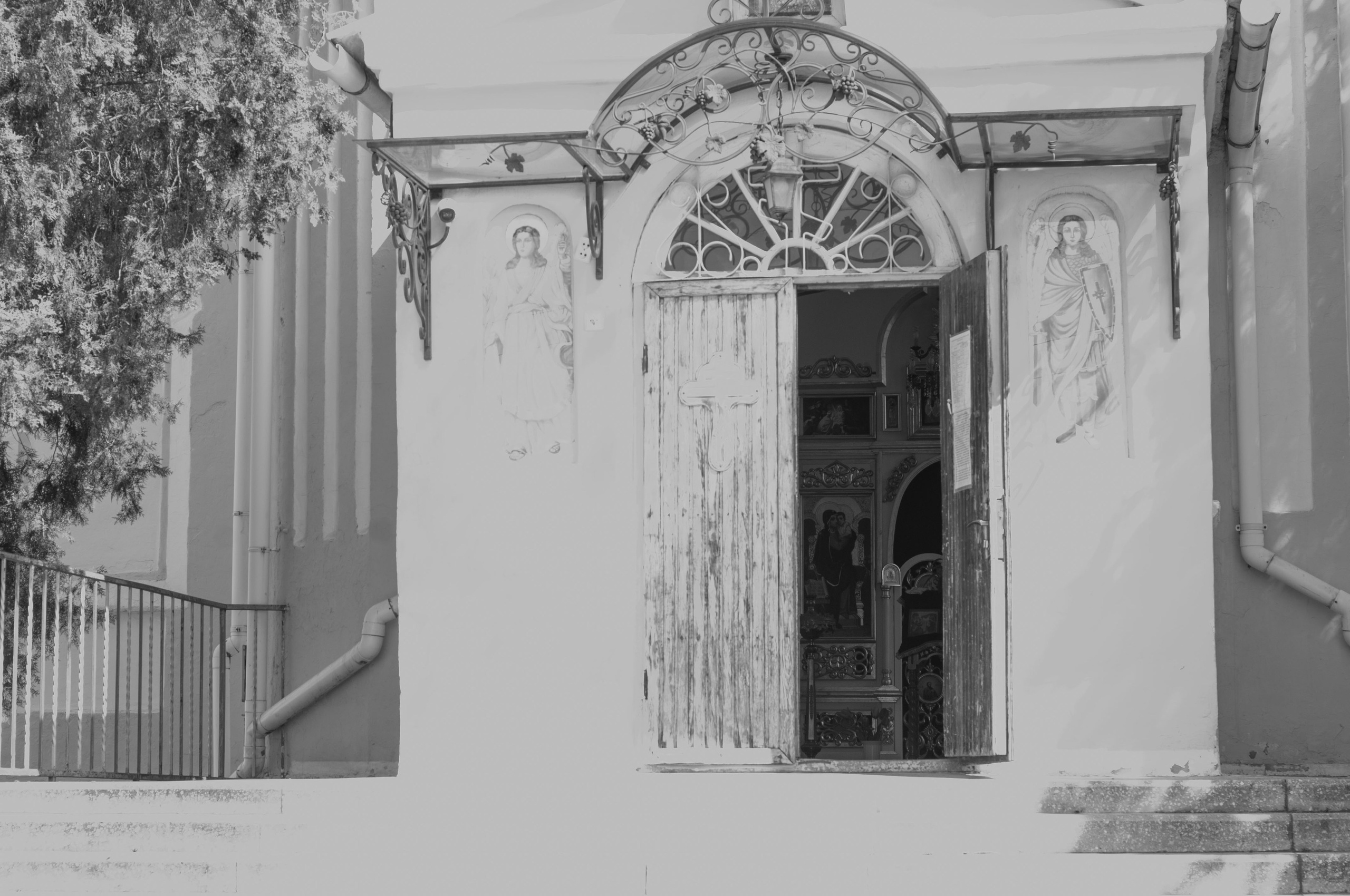 Для души. Сейчас вылетит ПТИЧКА! Фотосессии в Керчи