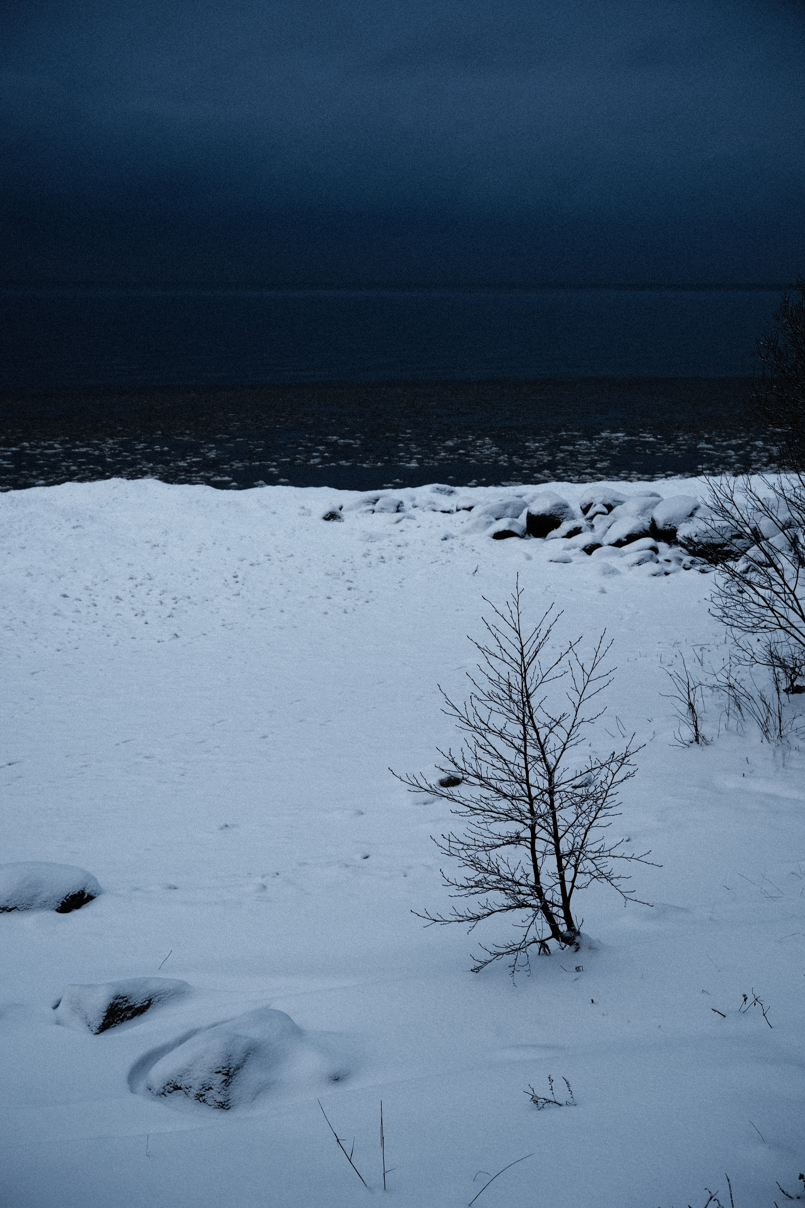 Nowhere and Everywhere. Портретный фотограф