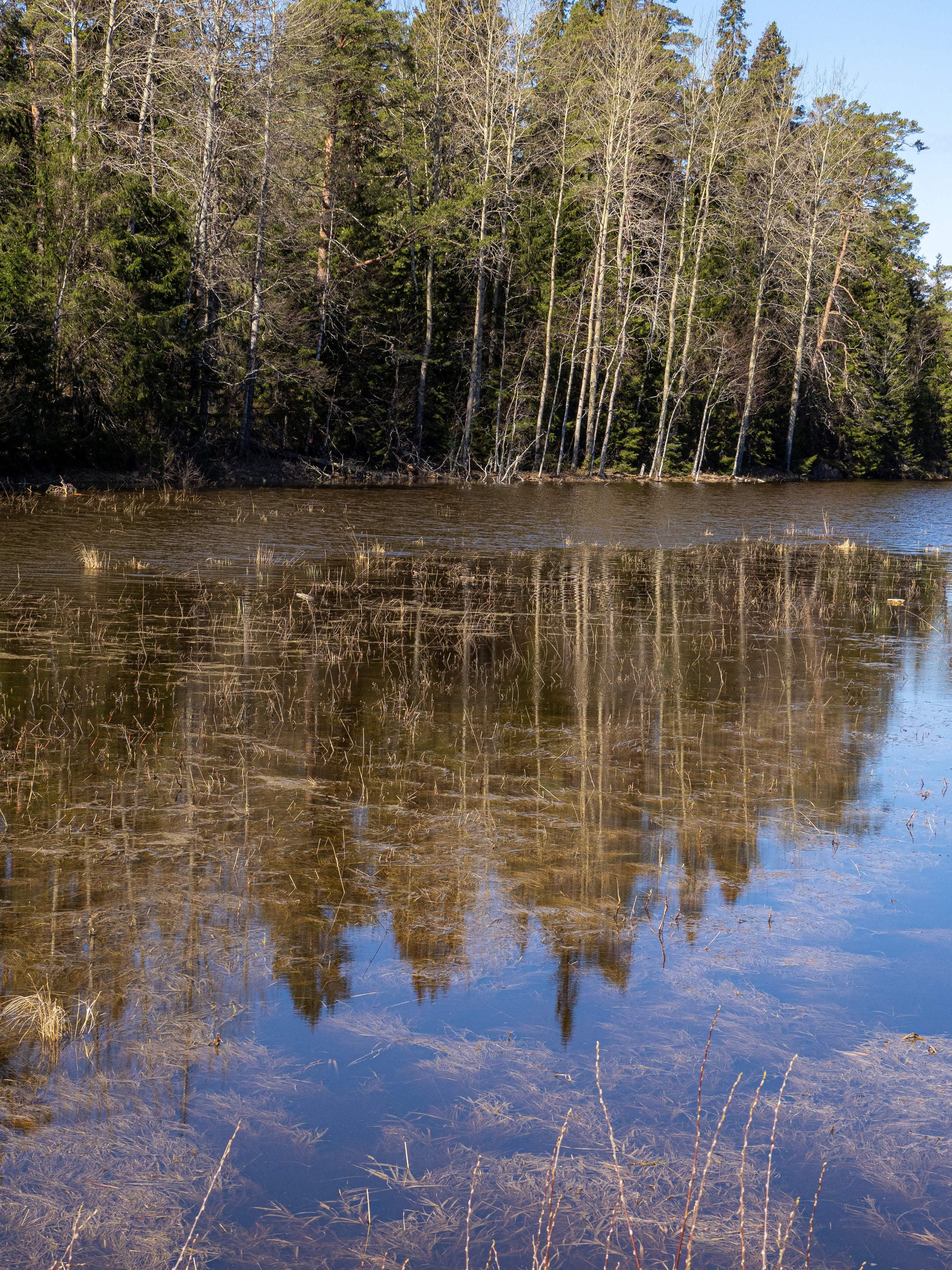 Кронштадт-Сортавала-Валаам-Выборг. Творческие сьемки