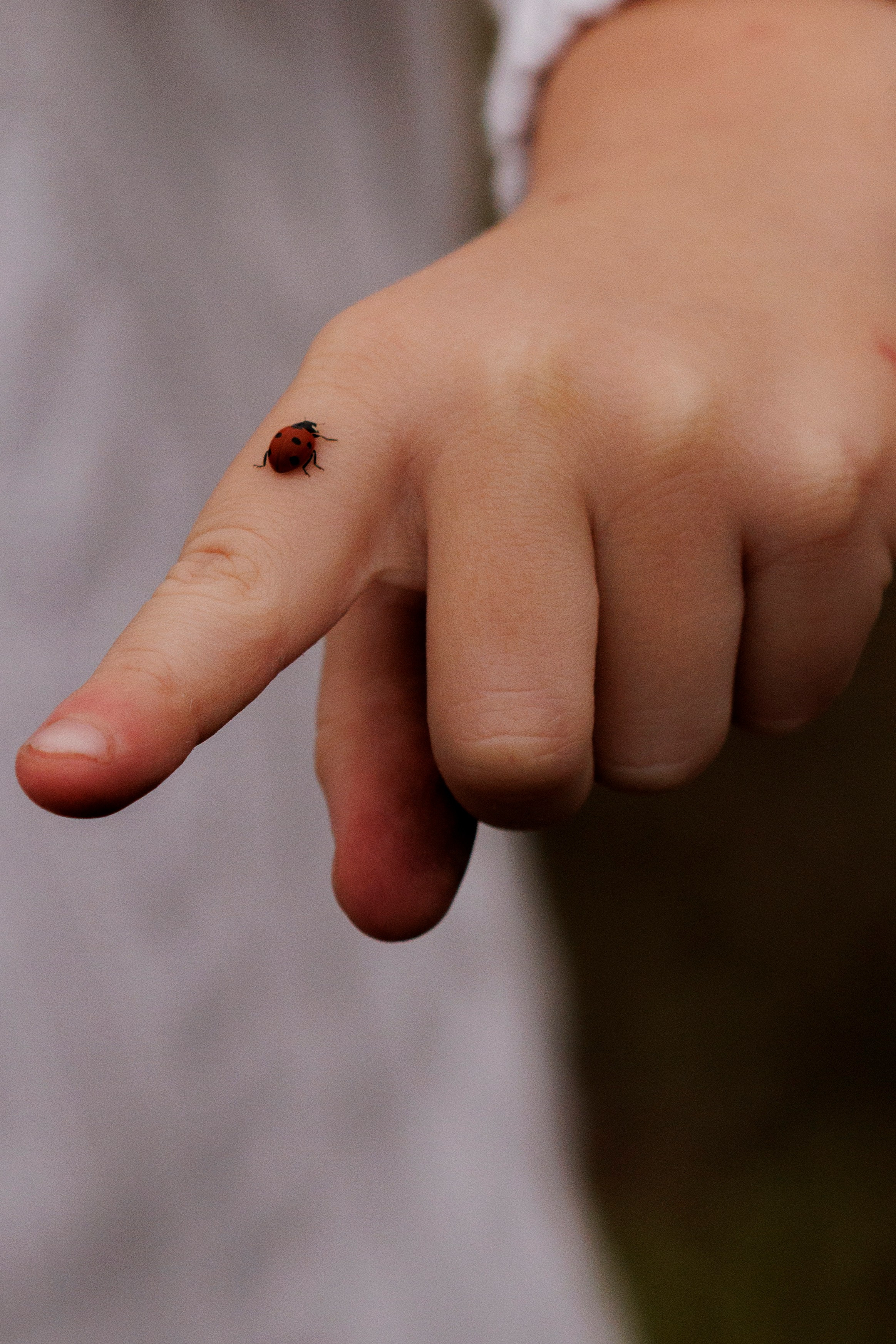 Детская съёмка. Семейный и детский фотограф в Туле