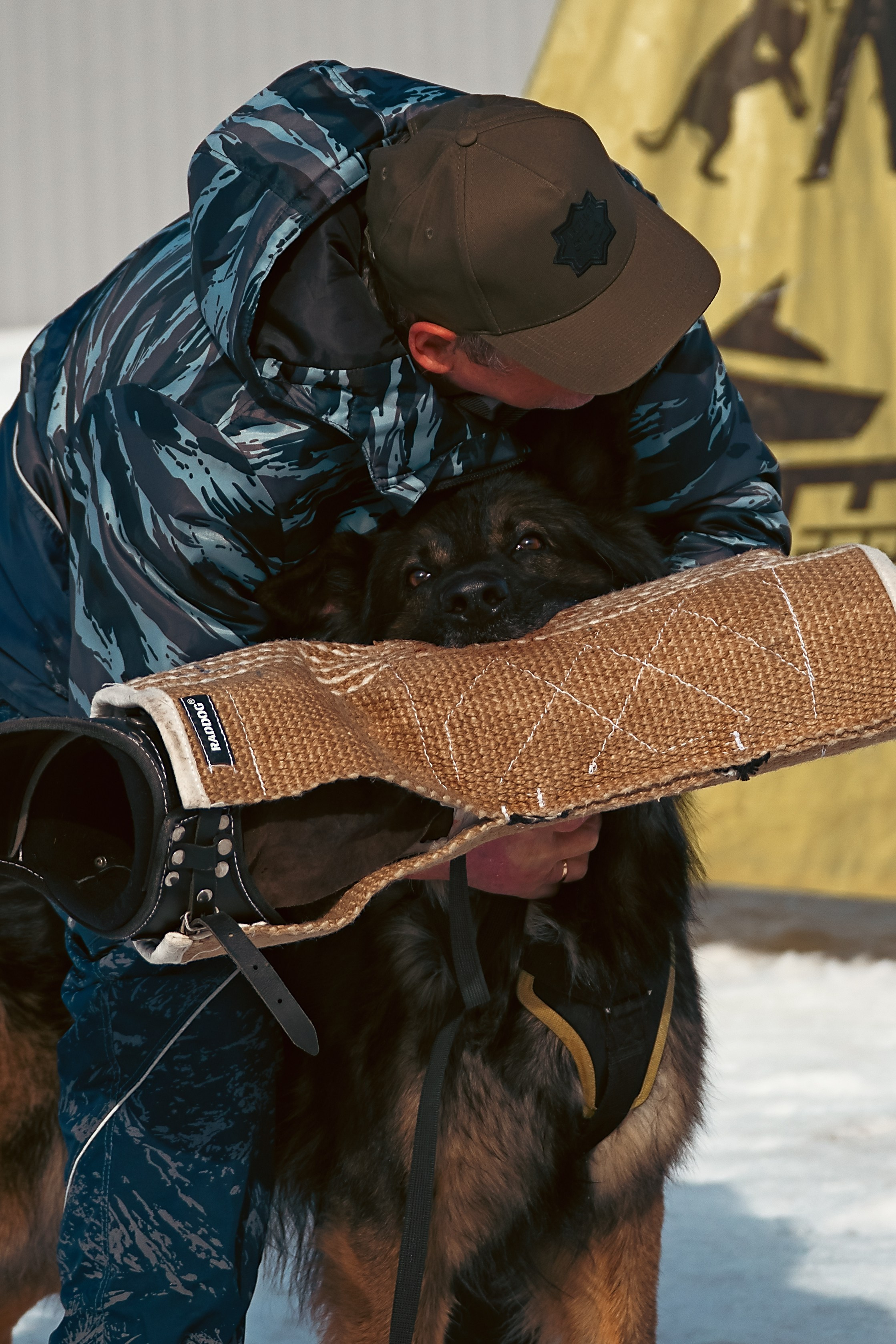 Репортажная съемка. Фотограф-анималист Нижний Новгород