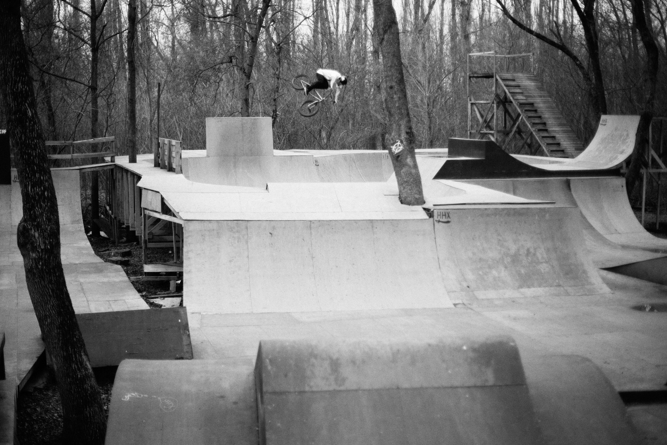 Action / Highlights. Bivol images