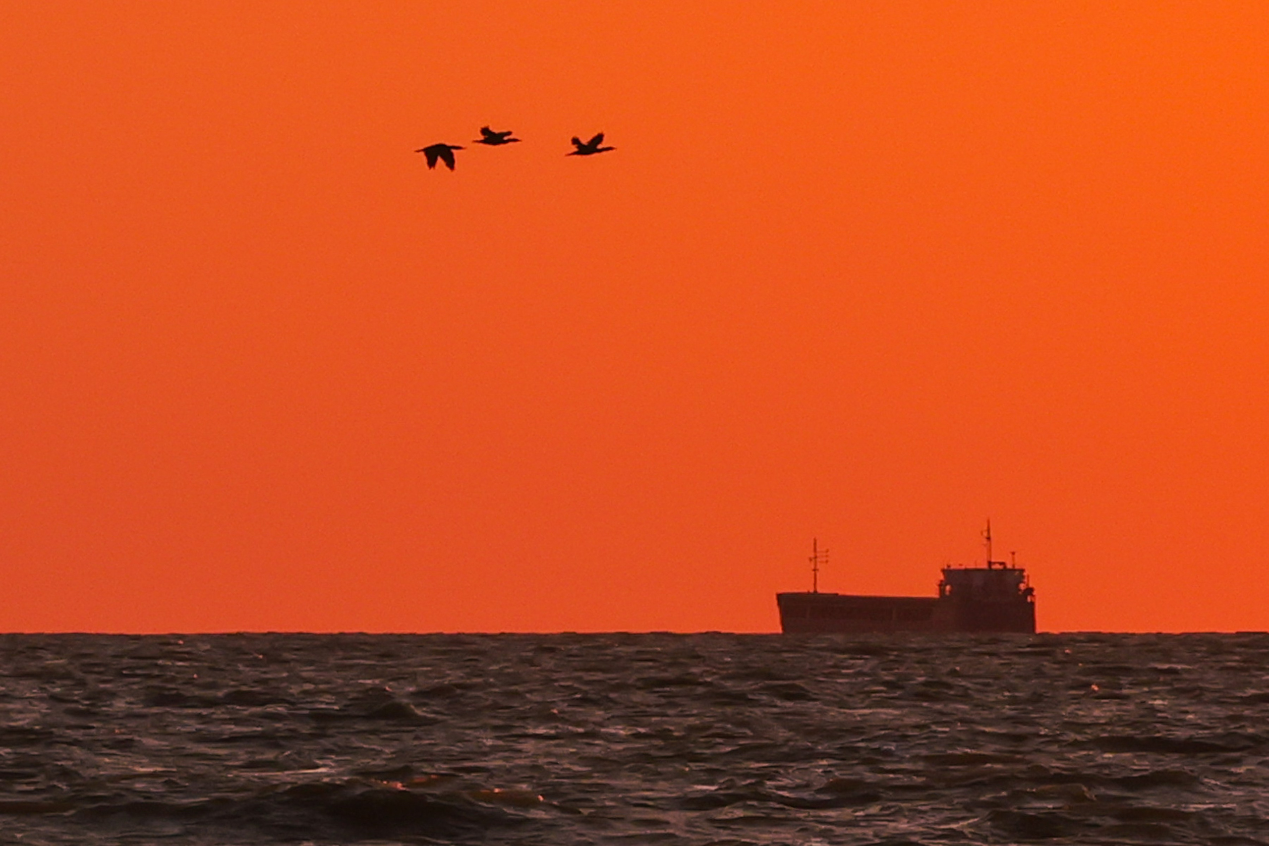 События, происшествия, повседневная жизнь. Роман Наумов профессиональный фотограф