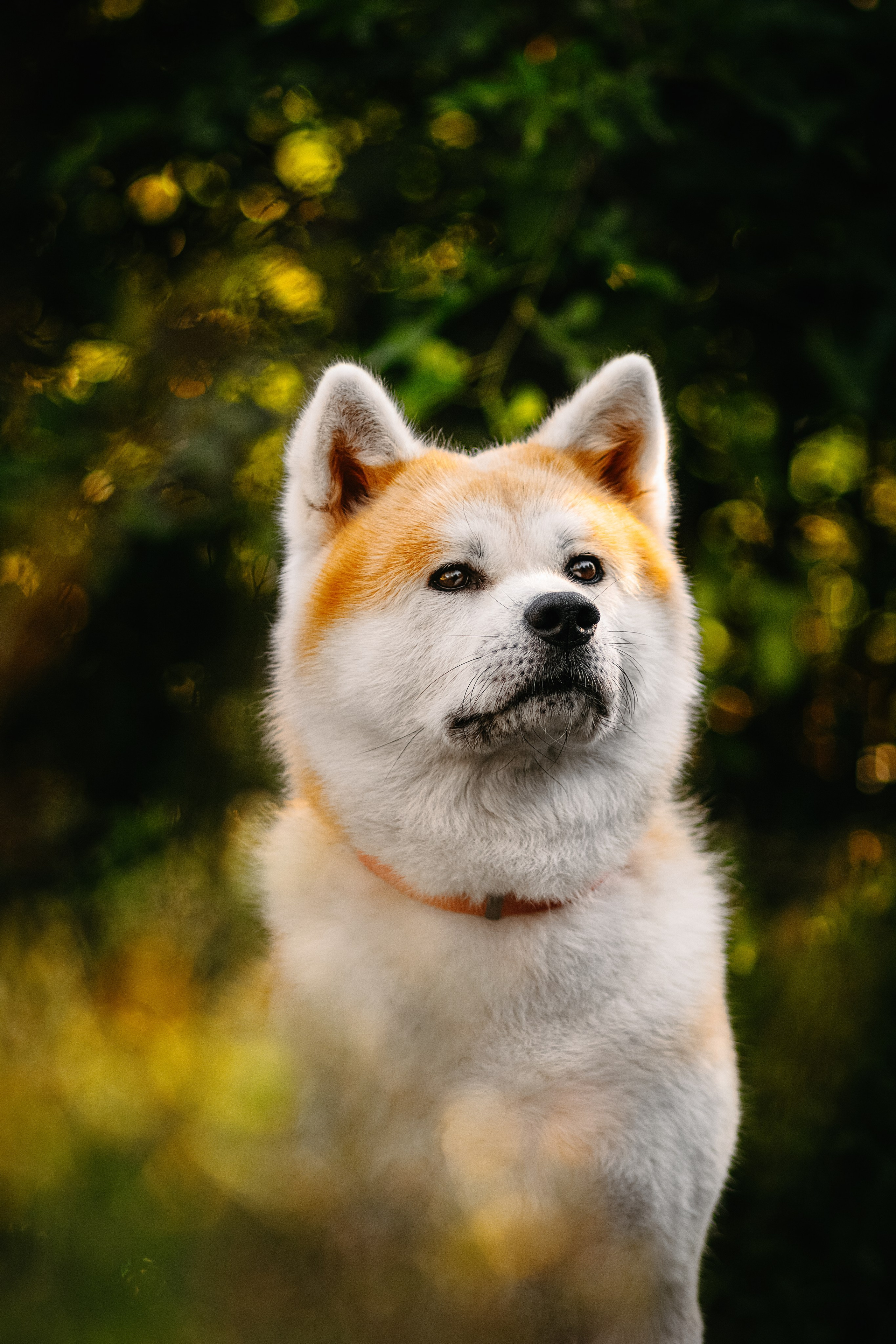 Вальтер. Фотограф в Арсеньеве