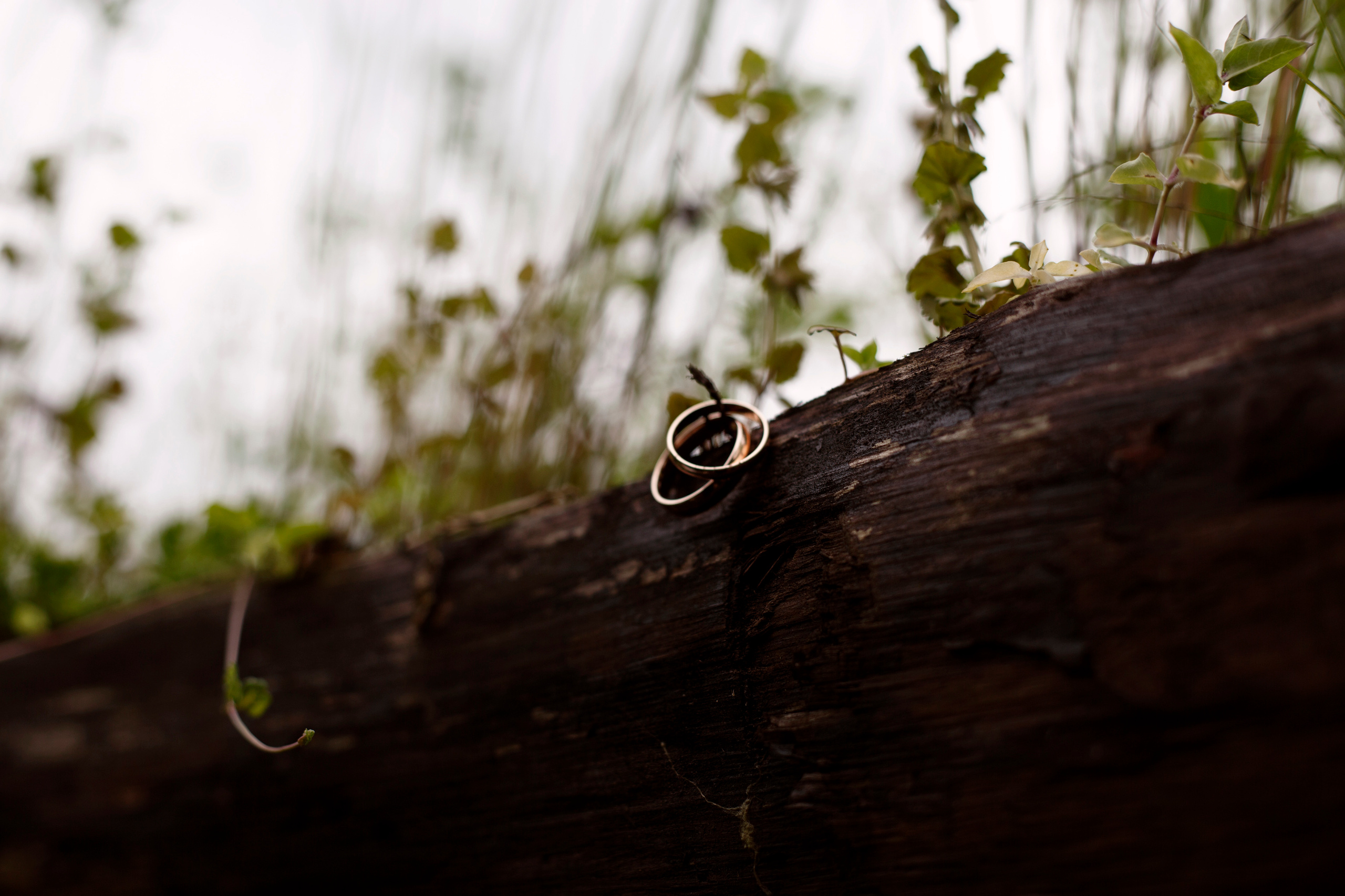 Анастасия &. Свадебный фотограф Гарифуллин Руслан. Раменское, Жуковский, Москва