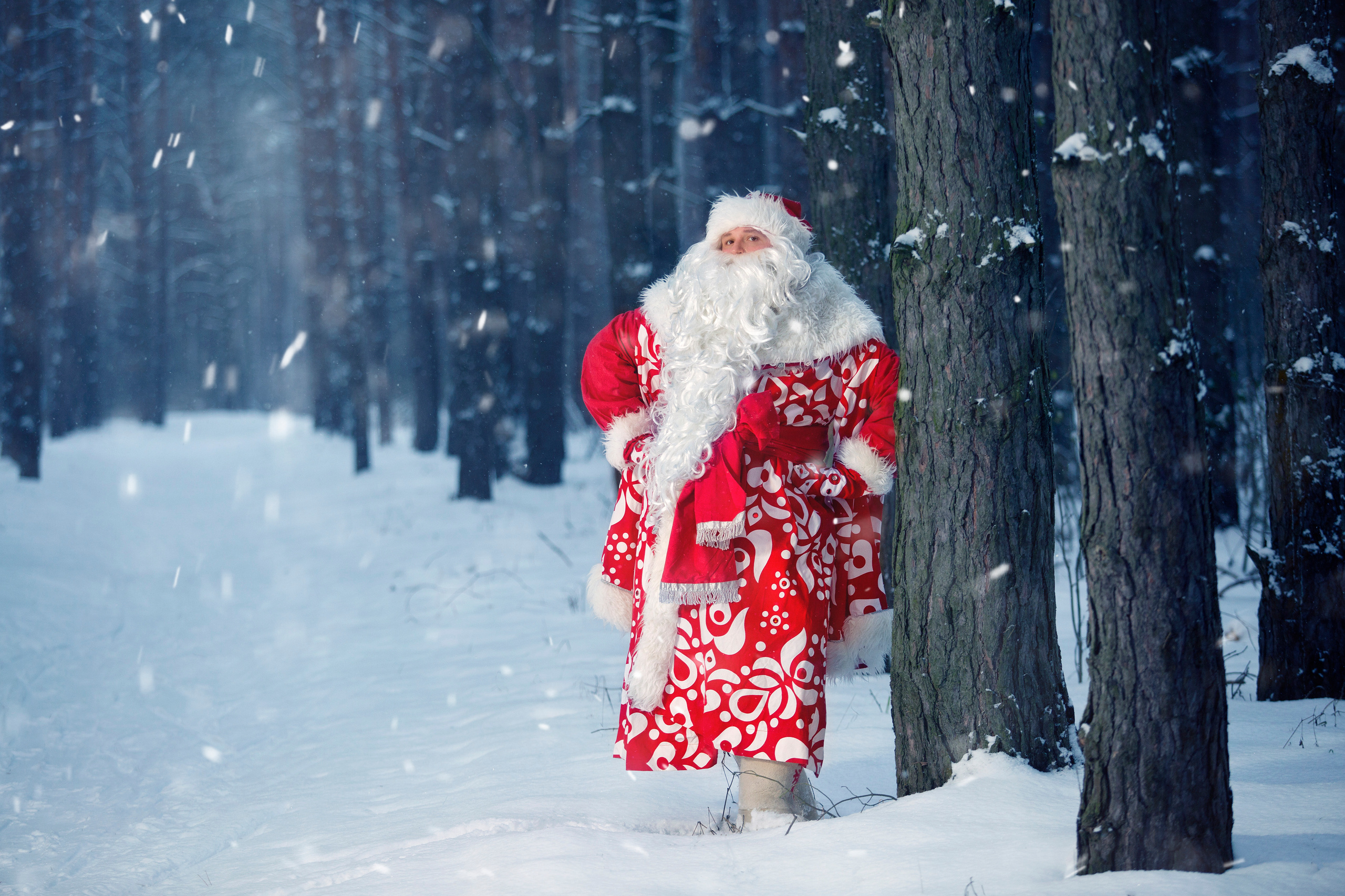 Новый год. Свадебный фотограф Гарифуллин Руслан. Раменское, Жуковский, Москва