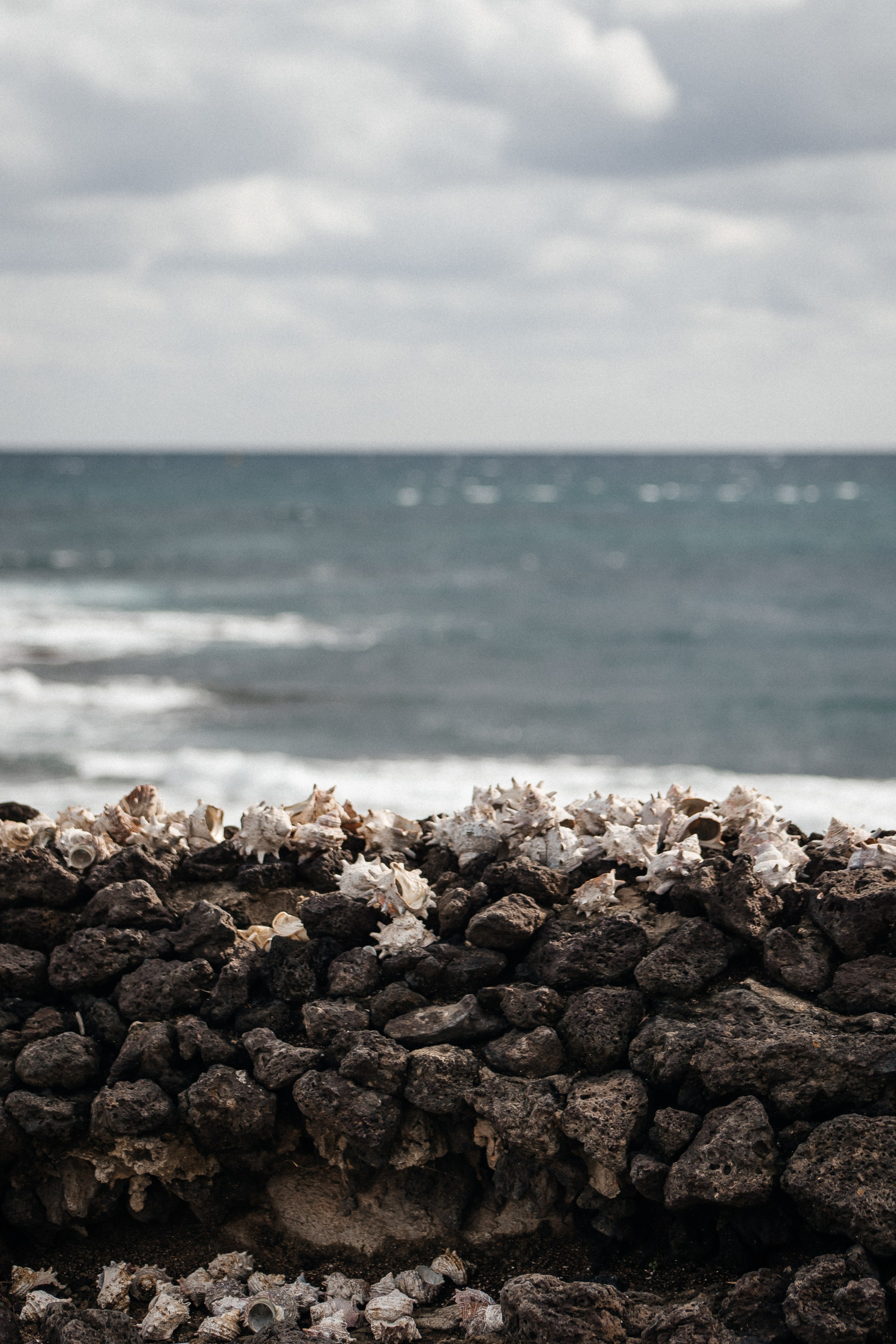 Jeju, South Korea. Свадебный фотограф Москва и МО Паншина Дарья