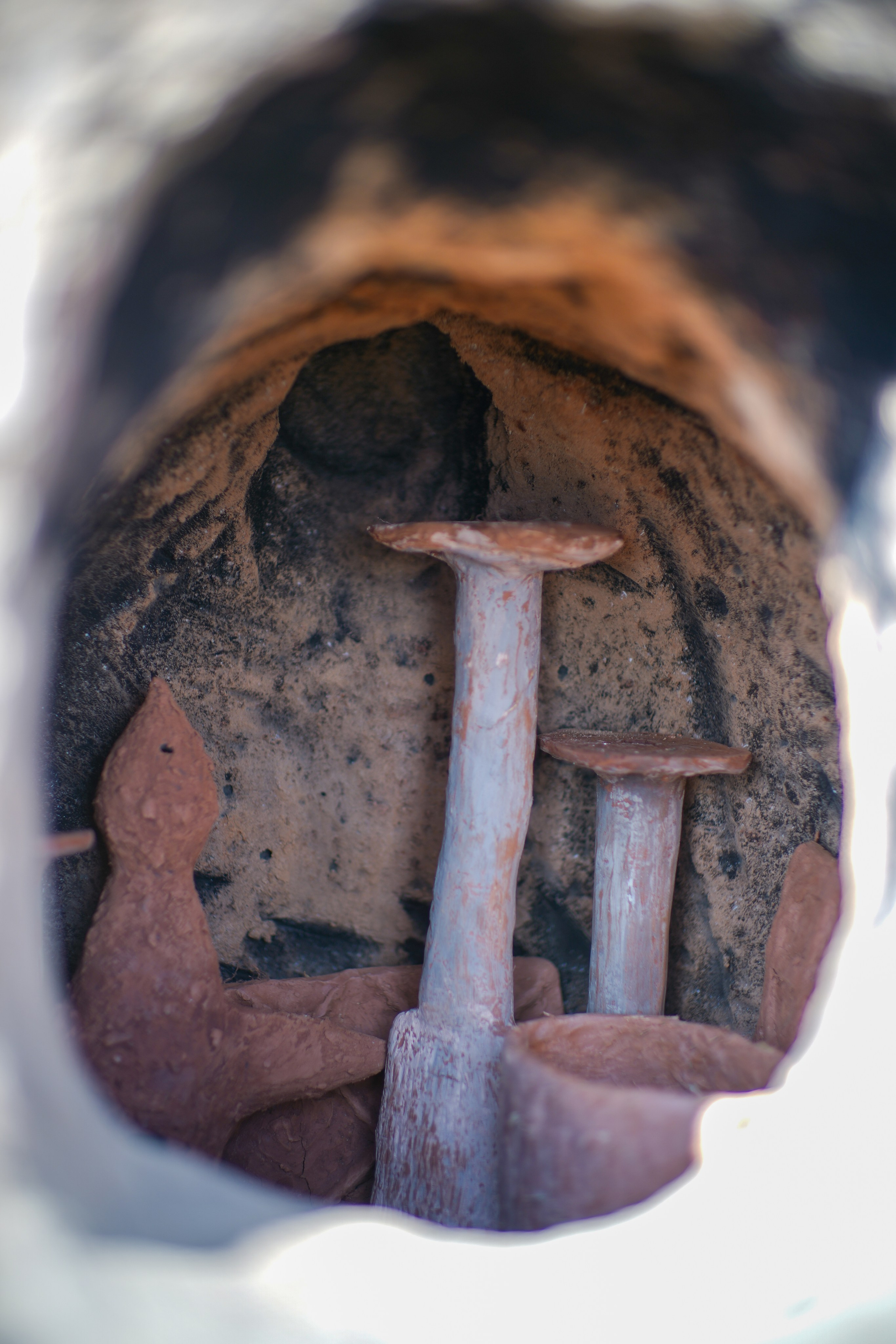 Wild fire 2024 — Дикий огонь 2024