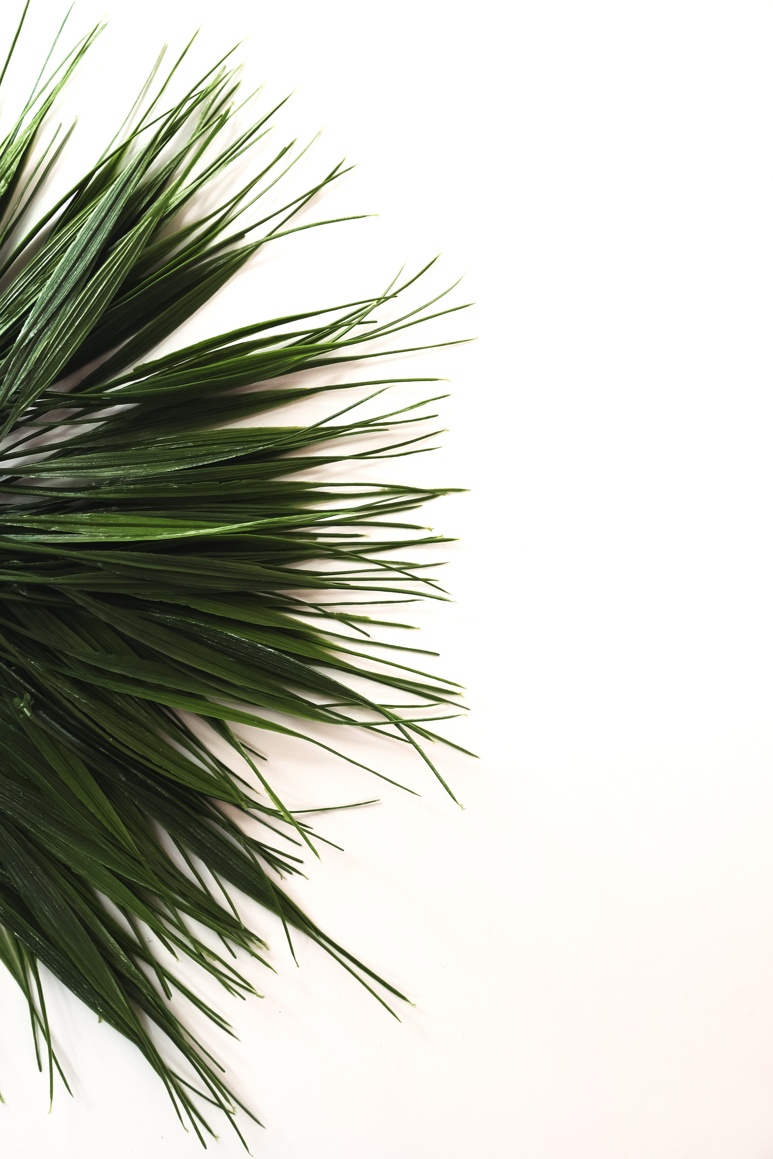 К о с м е т о л о г и я. Контент фотограф в Москве Кулич Настя